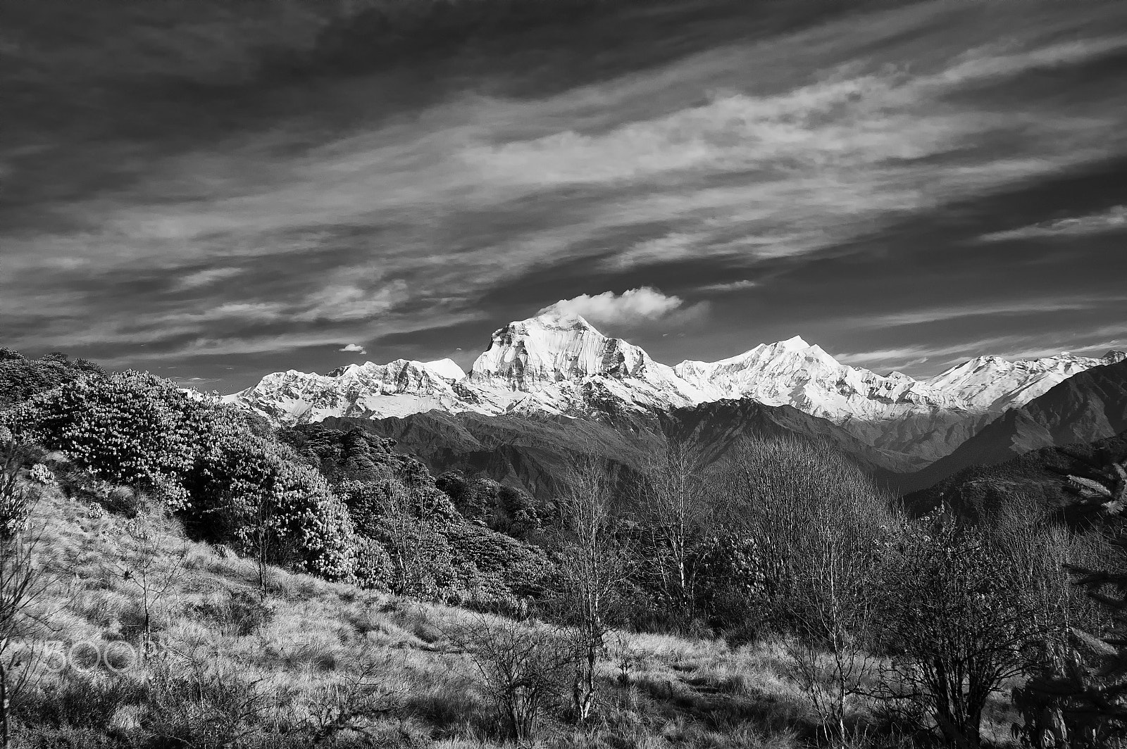 Nikon D50 sample photo. Dhaulagiri photography
