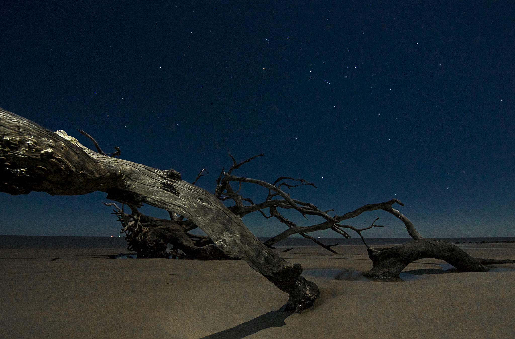 Sony SLT-A65 (SLT-A65V) + 20mm F2.8 sample photo. Jekyll island photography