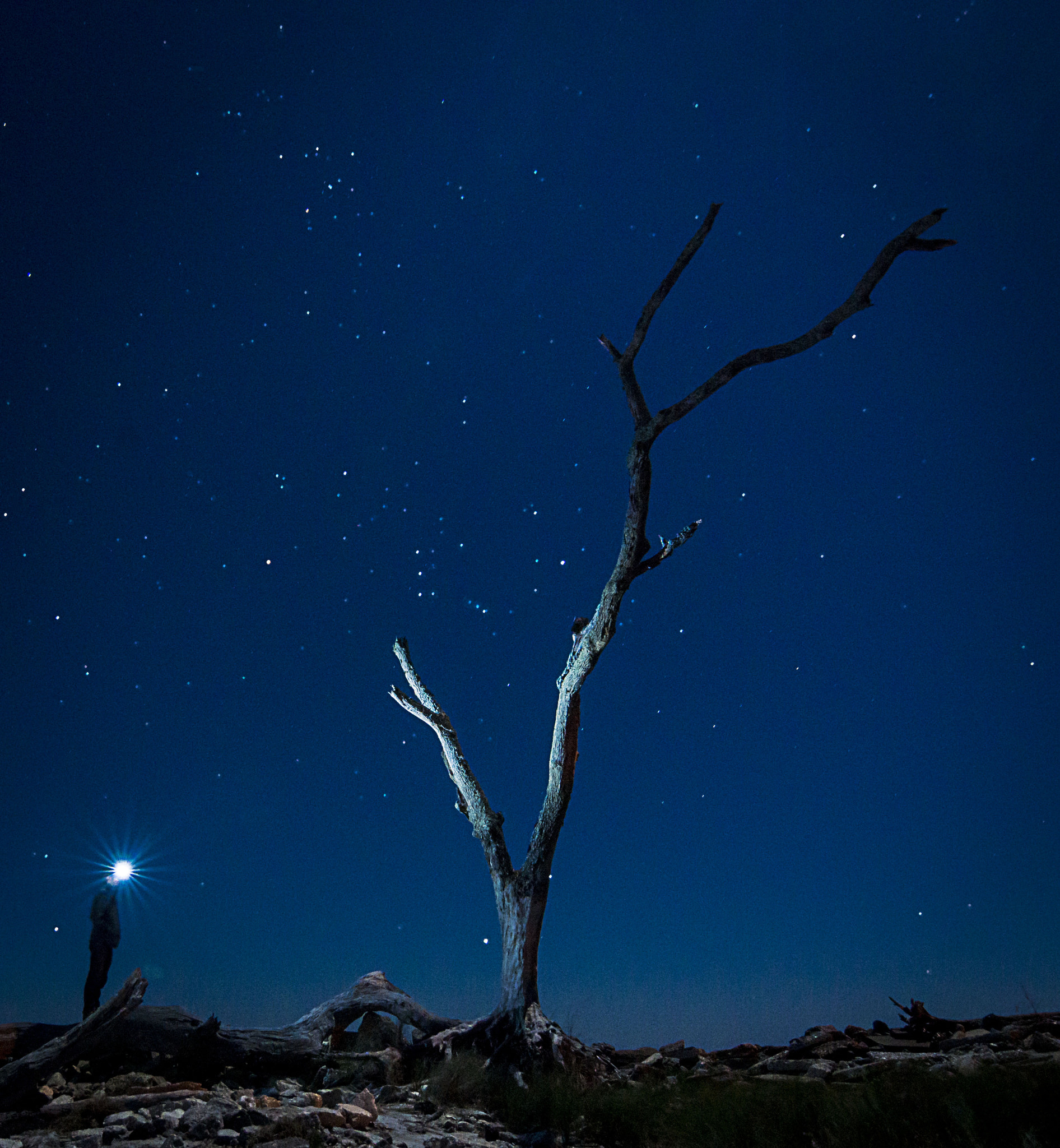 Sony SLT-A65 (SLT-A65V) + 20mm F2.8 sample photo. Jekyll island photography