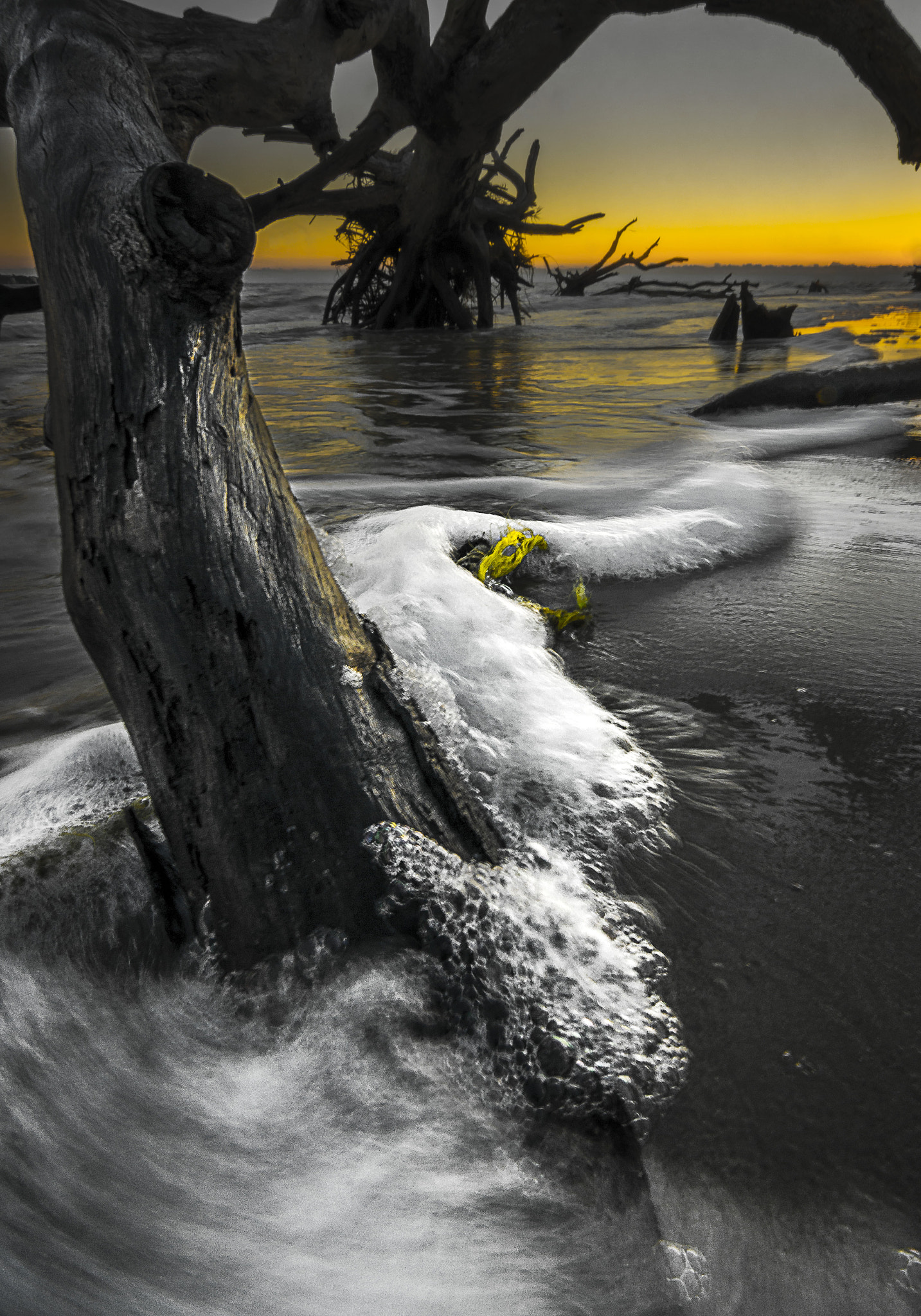 Sony SLT-A65 (SLT-A65V) + 20mm F2.8 sample photo. Jekyll island photography