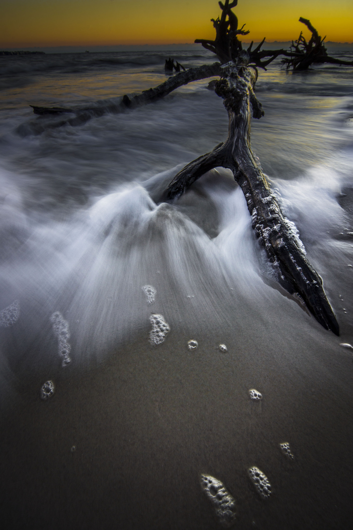 Sony SLT-A65 (SLT-A65V) + 20mm F2.8 sample photo. Jekyll island photography