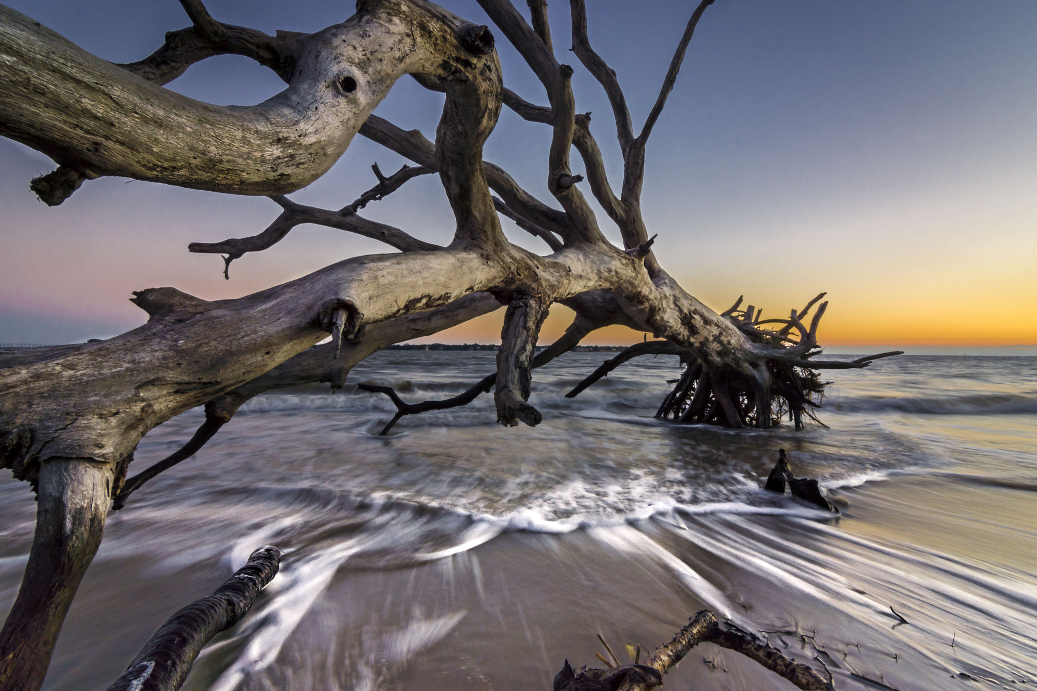 Sony SLT-A65 (SLT-A65V) + 20mm F2.8 sample photo. Jekyll island photography