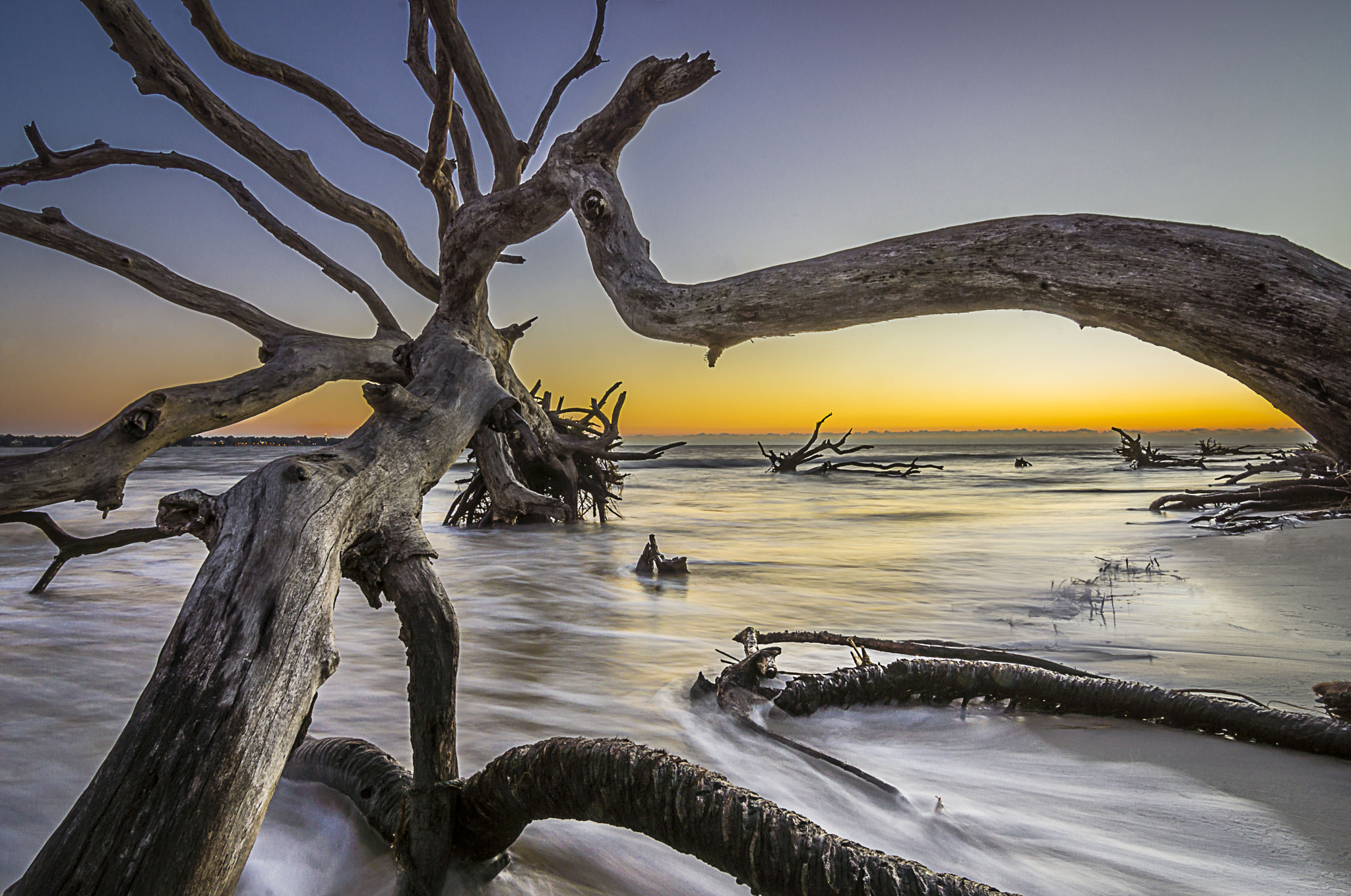 Sony SLT-A65 (SLT-A65V) + 20mm F2.8 sample photo. Jekyll island photography