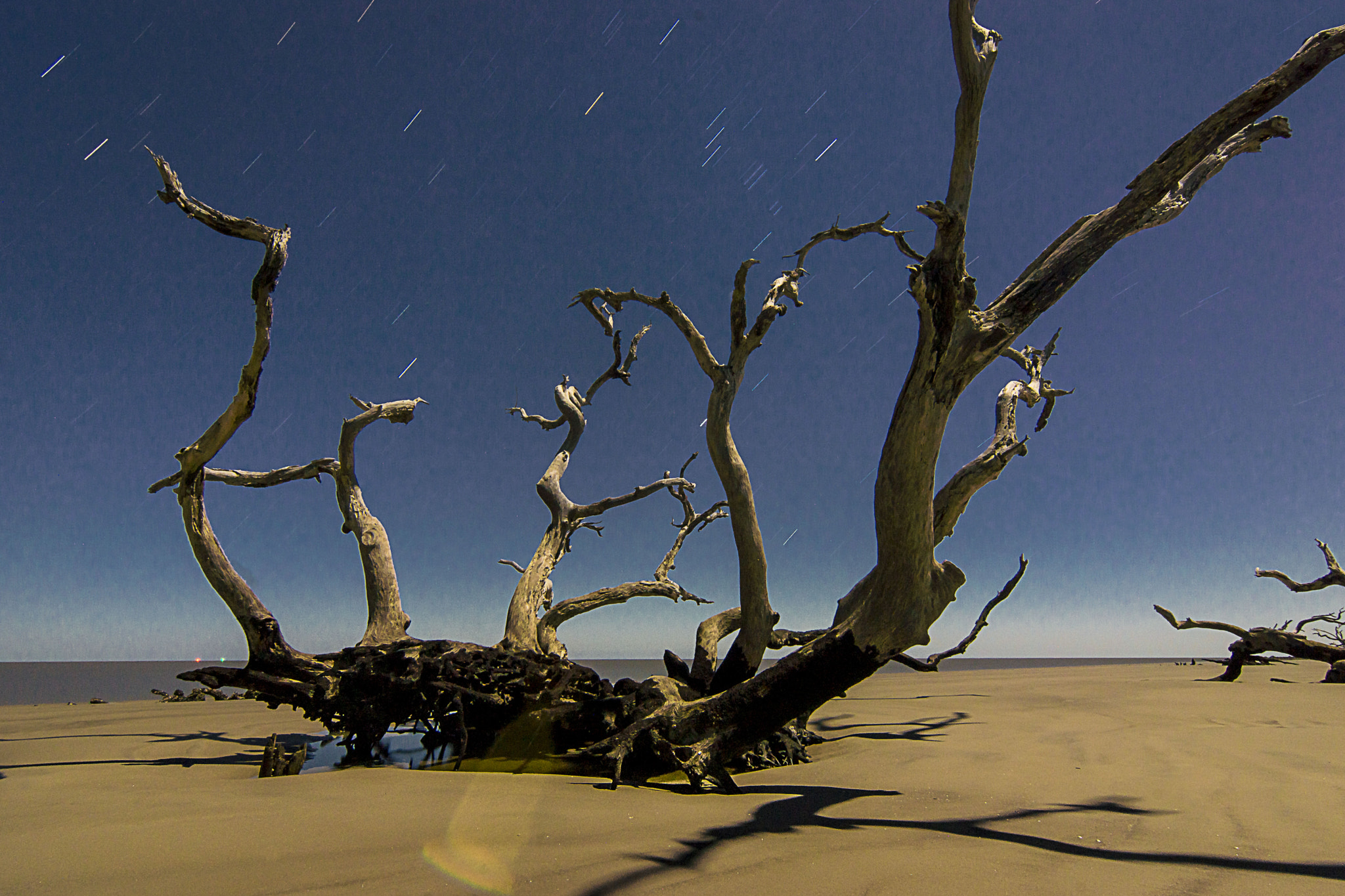 Sony SLT-A65 (SLT-A65V) + 20mm F2.8 sample photo. Jekyll island photography