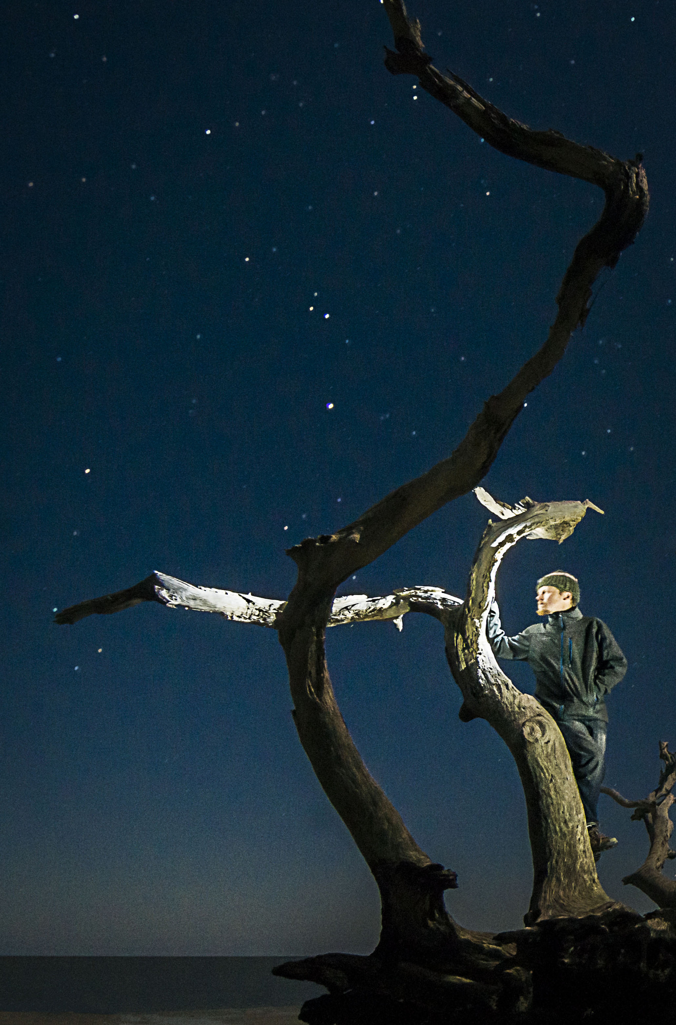 Sony SLT-A65 (SLT-A65V) + 20mm F2.8 sample photo. Jekyll island photography