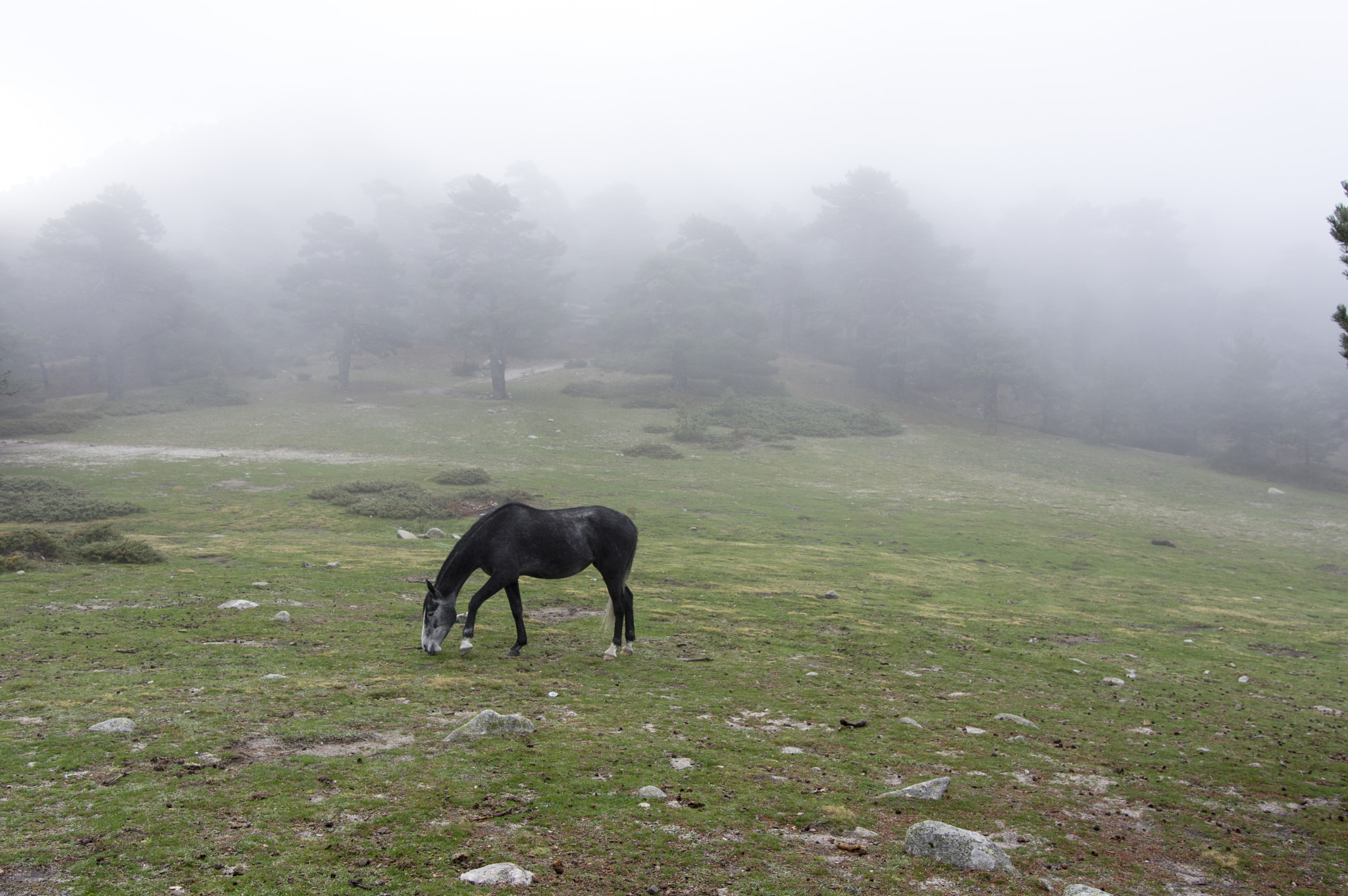 Pentax K-3 II sample photo. Collado ventoso photography