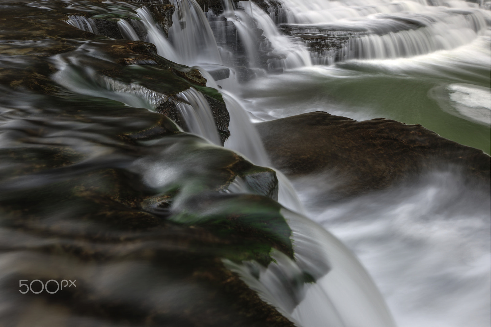 Nikon D3X sample photo. Mossey green photography
