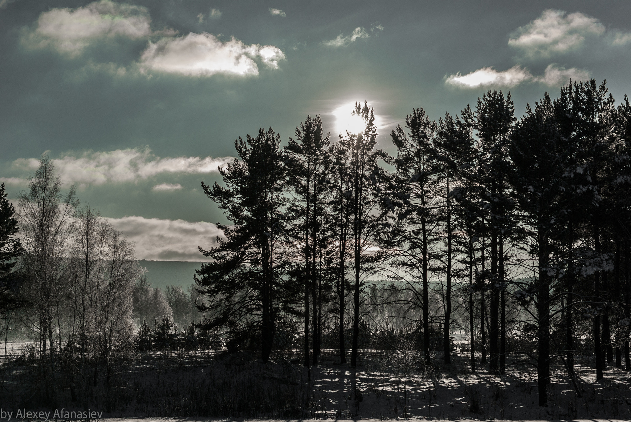 Pentax K10D + Pentax smc DA 50mm F1.8 sample photo. Caught in winter photography