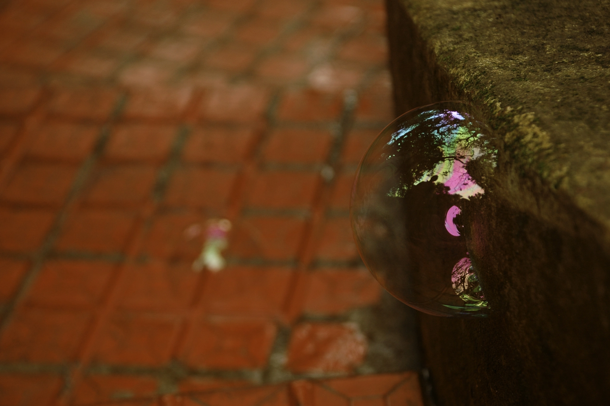 Nikon D70 sample photo. Attraction photography