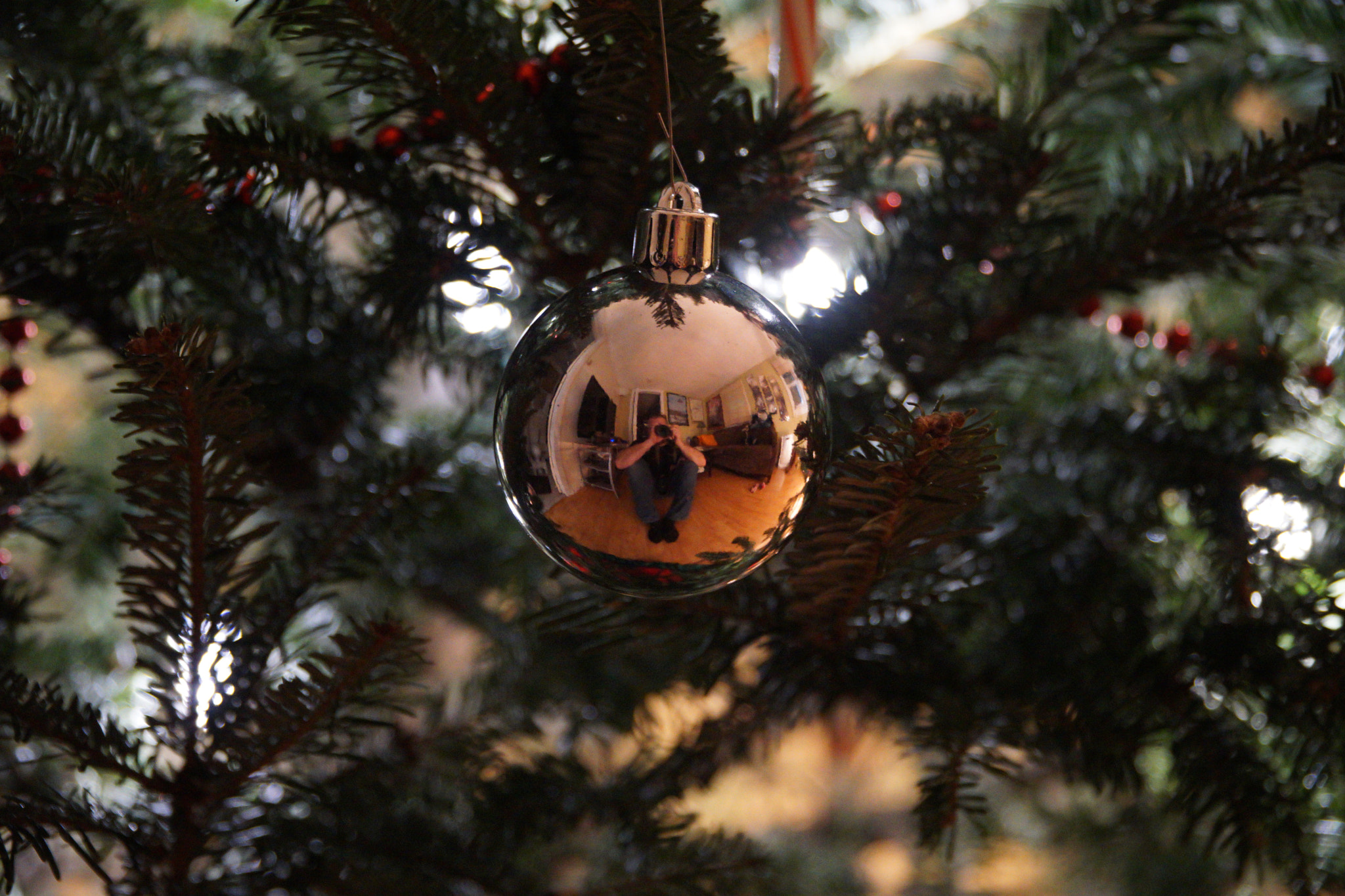 Sony a6000 + Sony E PZ 18-105mm F4 G OSS sample photo. Christmas reflections photography