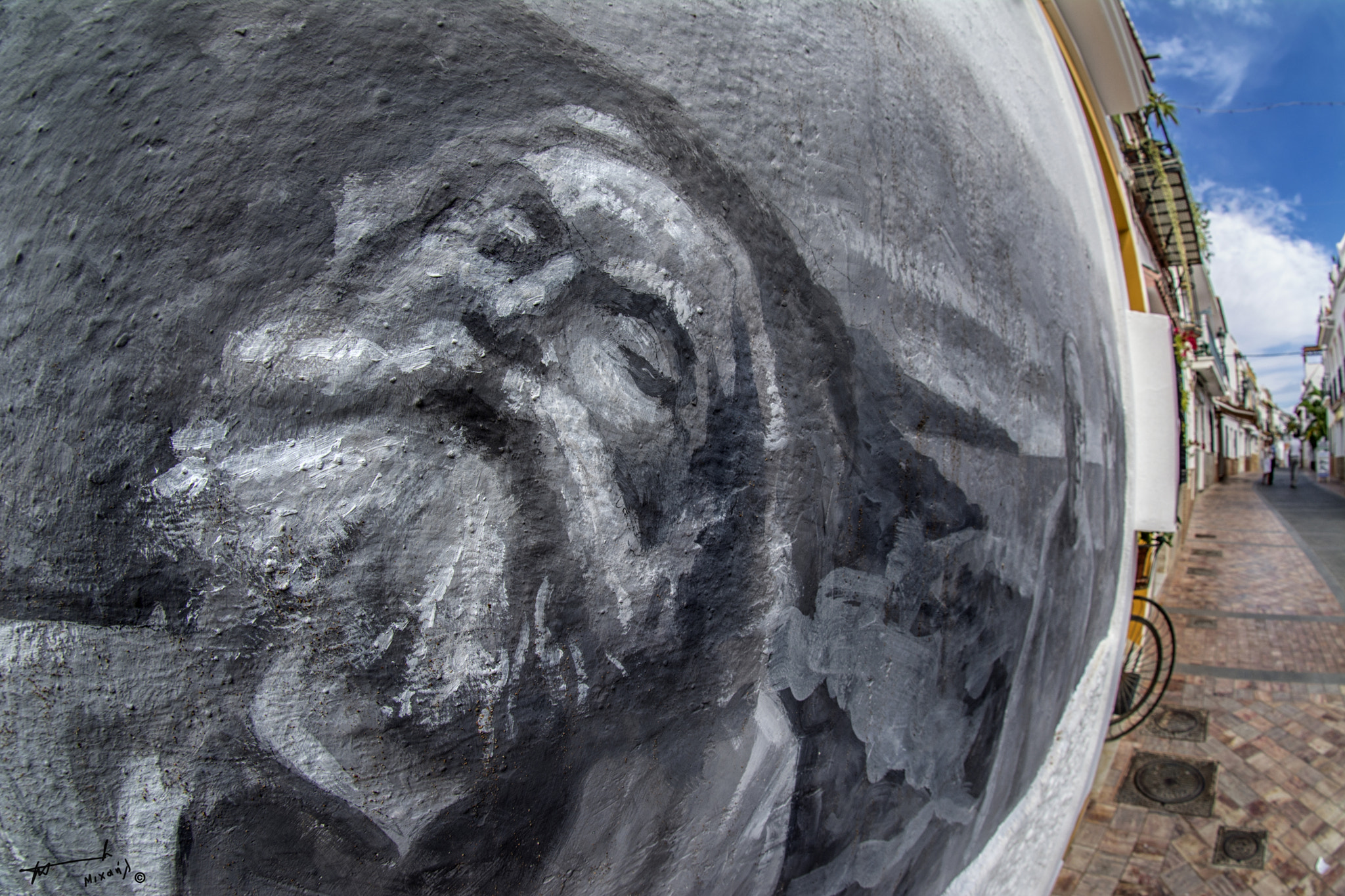 Nikon D7100 + Sigma 10mm F2.8 EX DC HSM Diagonal Fisheye sample photo. Karl marx in nerja streets :) photography