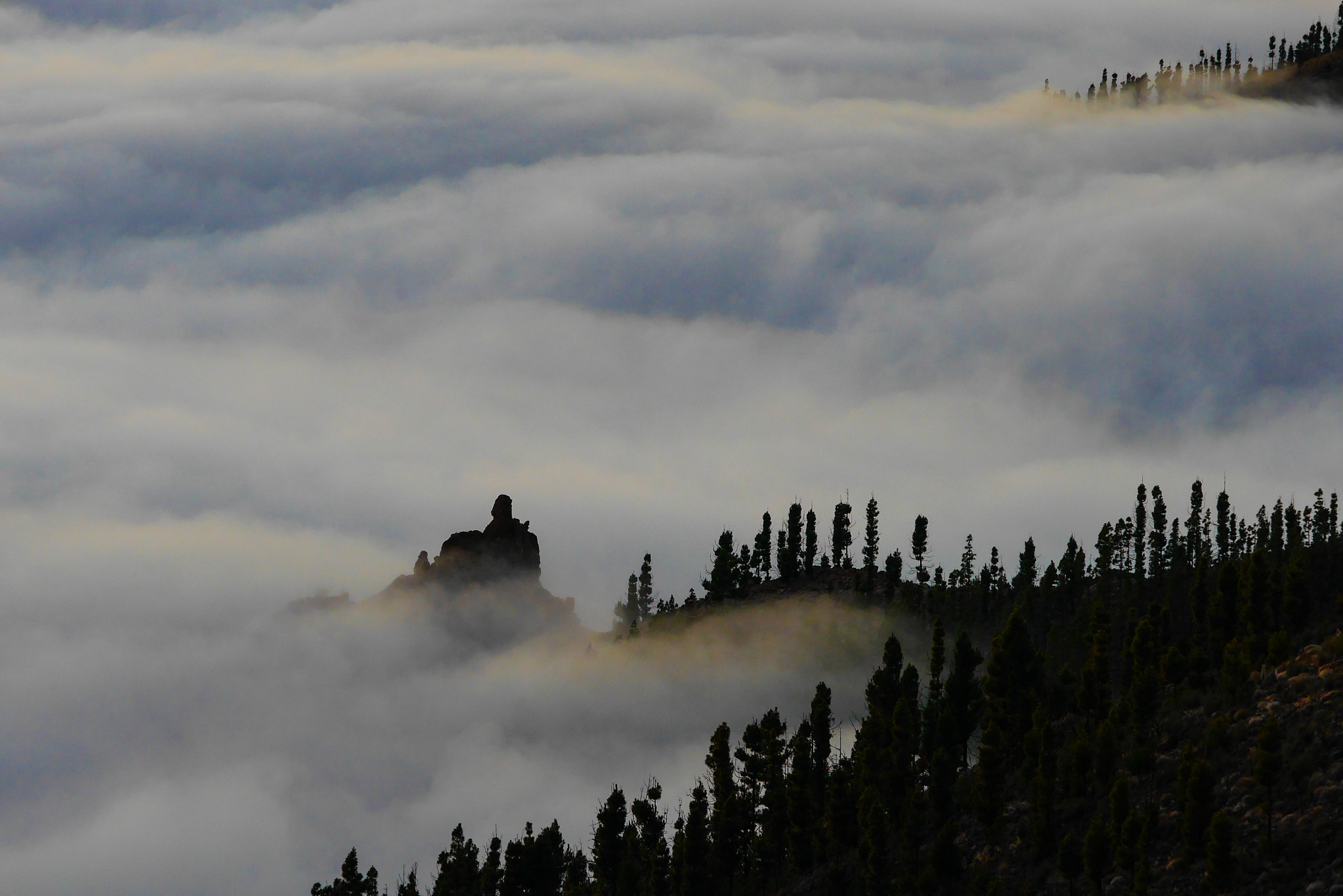 Panasonic Lumix DMC-GX7 + Olympus M.Zuiko Digital ED 40-150mm F2.8 Pro sample photo. Cloud forest photography