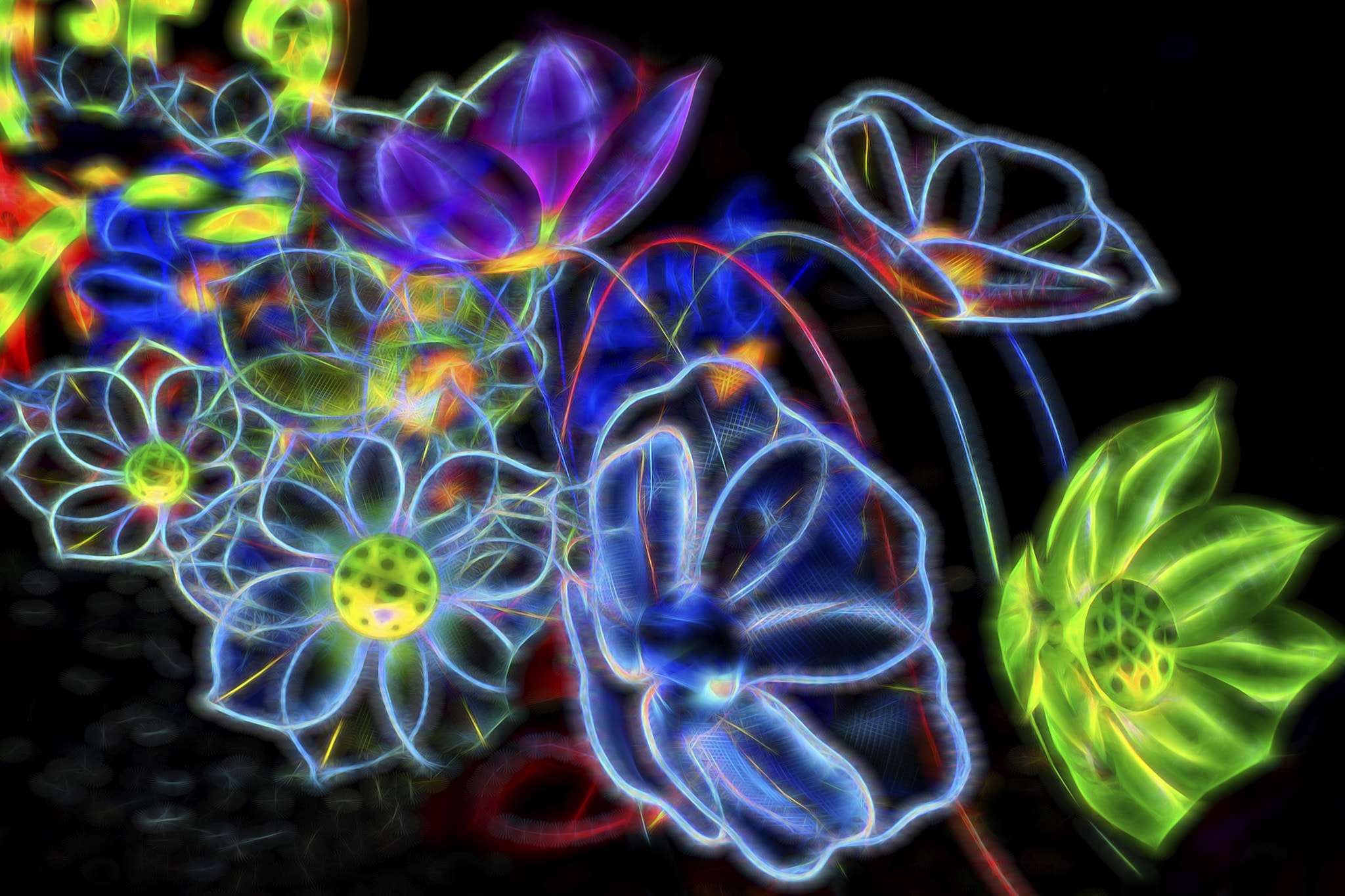 Nikon AF-S Nikkor 28-70mm F2.8 ED-IF sample photo. Cascade of flowers photography