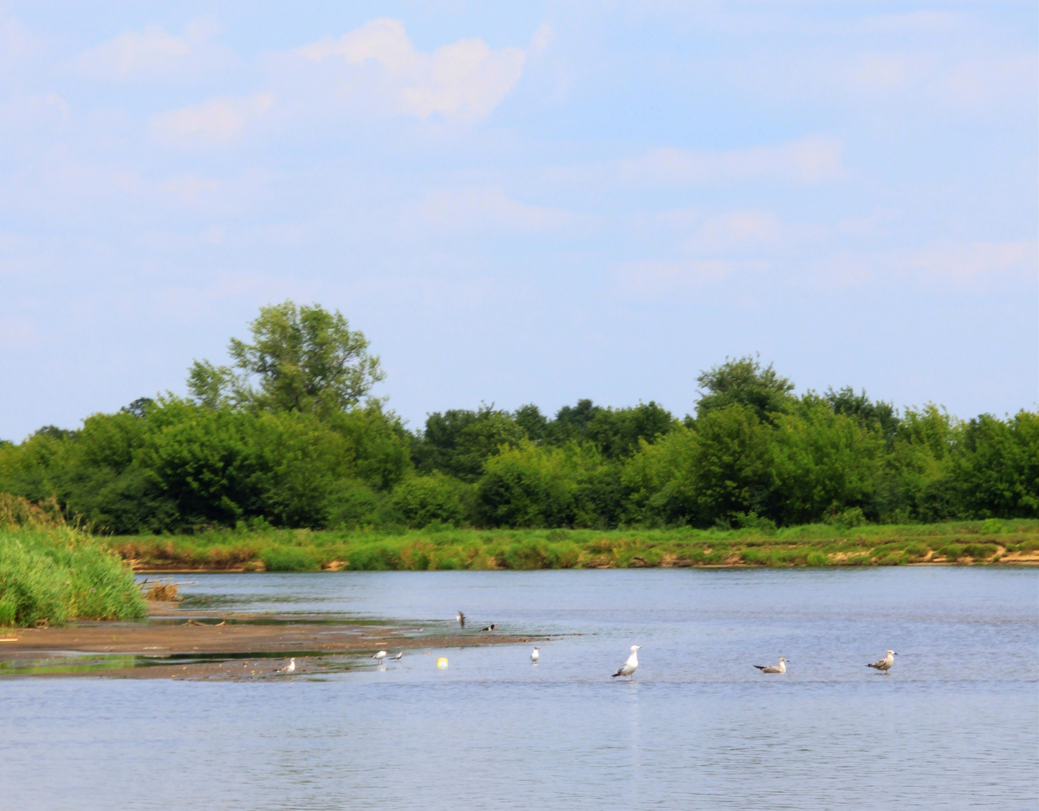 Canon EF 28-90mm f/4-5.6 sample photo. River photography
