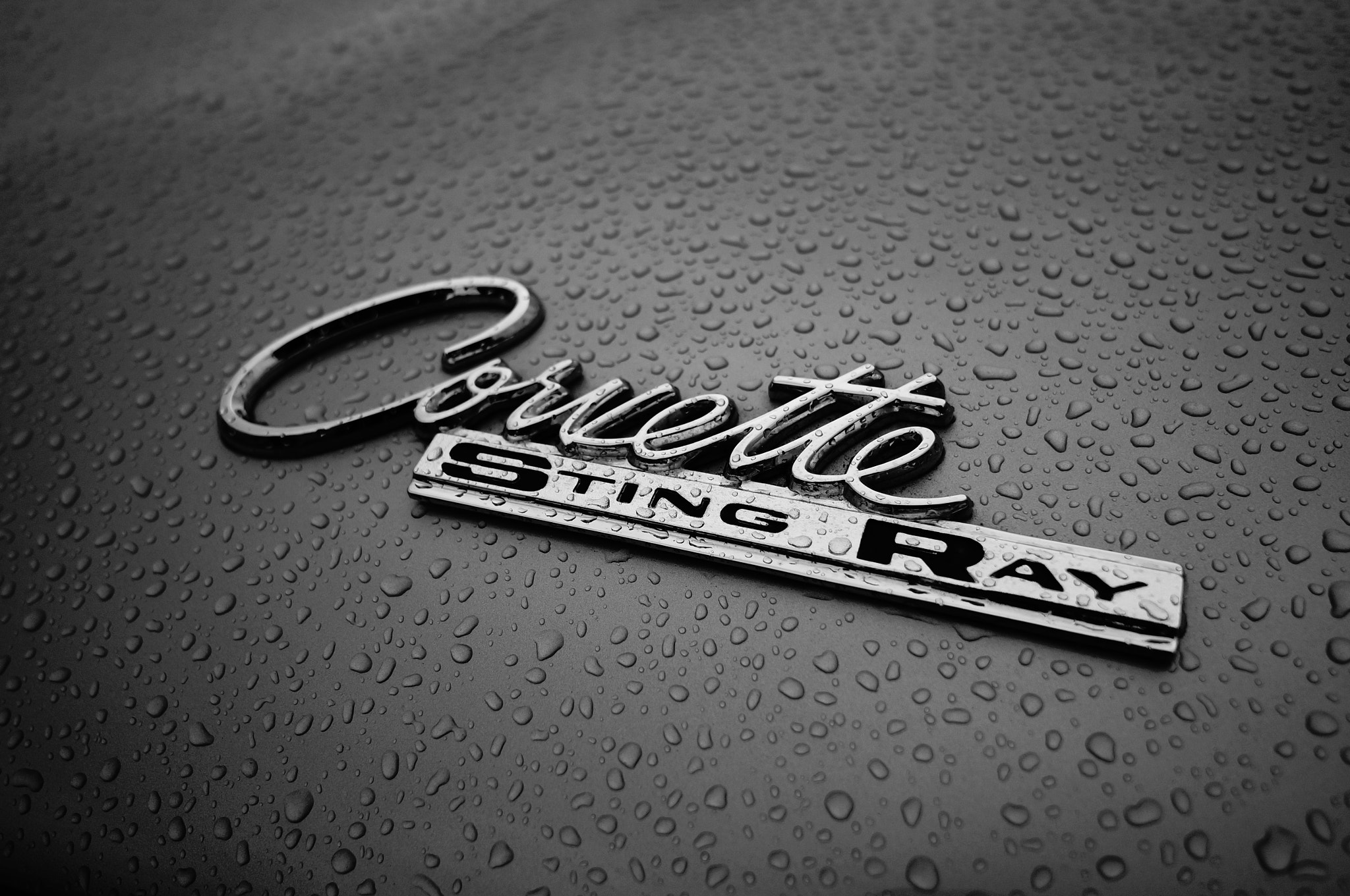 Sony Alpha NEX-3N + Sigma 19mm F2.8 EX DN sample photo. Corvette sting ray in the rain. photography