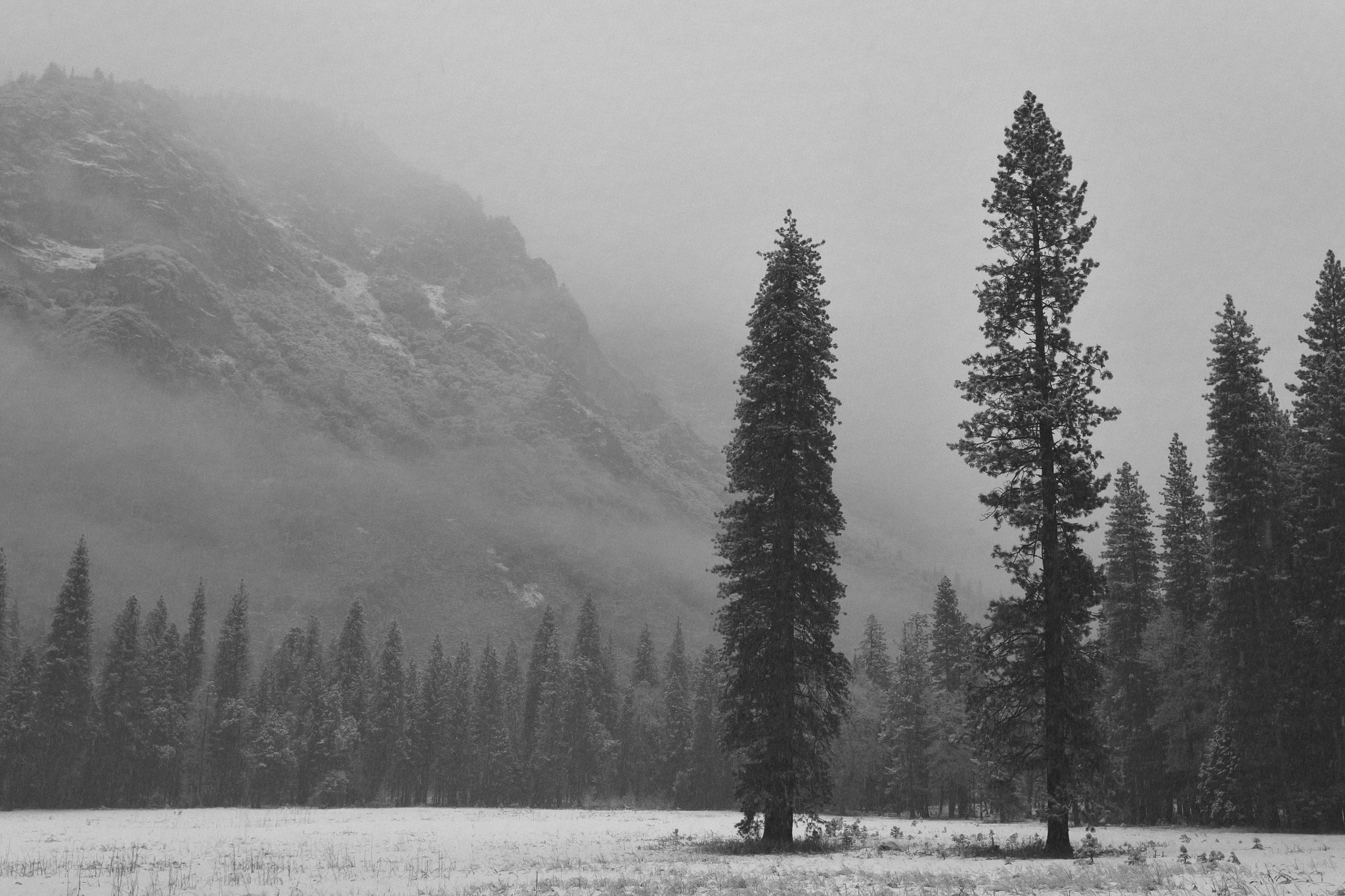 Canon EOS 5D + Tamron SP AF 17-35mm F2.8-4 Di LD Aspherical (IF) sample photo. Winter, yosemite valley photography