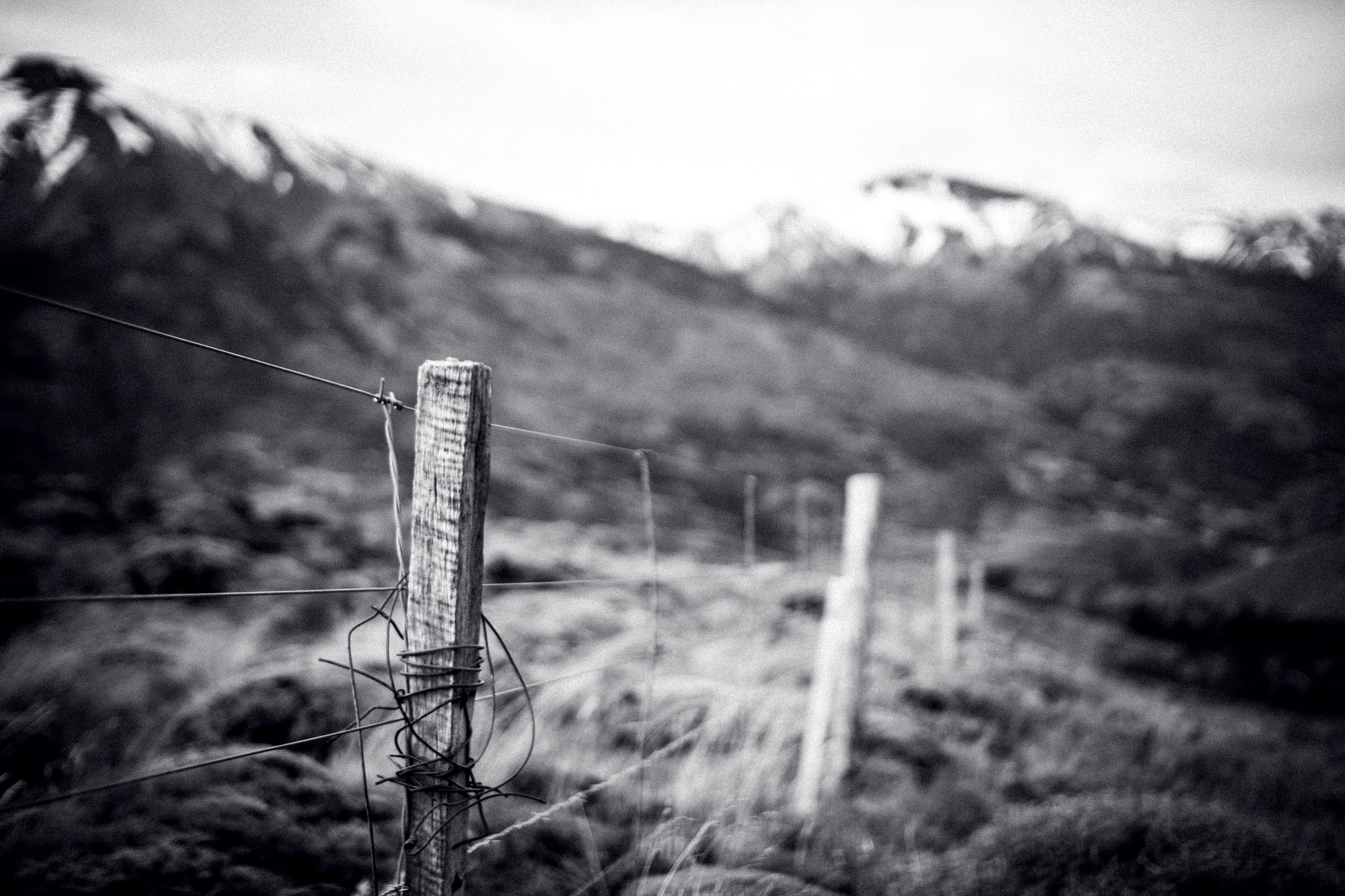 Canon EOS 550D (EOS Rebel T2i / EOS Kiss X4) + Sigma 30mm F1.4 EX DC HSM sample photo. Fencepost in patagonia photography