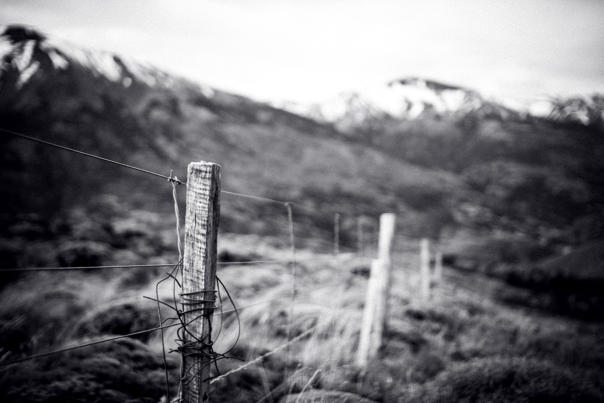 Sigma 30mm F1.4 EX DC HSM sample photo. Fencepost in patagonia photography