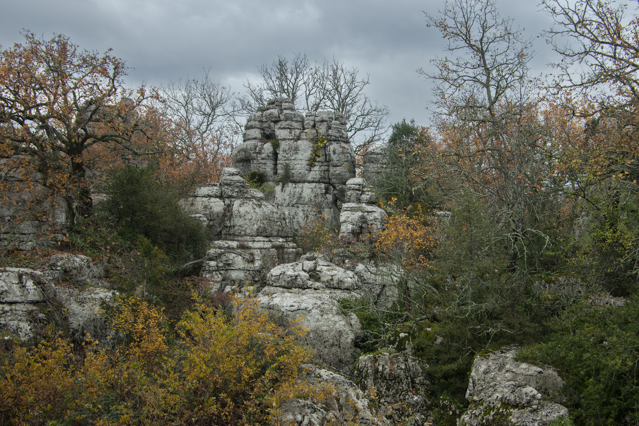 Pentax smc DA 16-45mm F4 ED AL sample photo. Bois de paîolive , ardèche. photography
