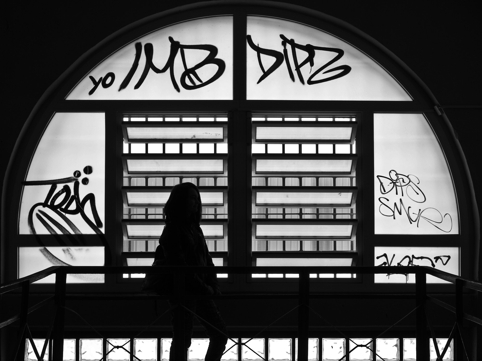 Olympus E-620 (EVOLT E-620) + Olympus Zuiko Digital 14-54mm F2.8-3.5 II sample photo. Silhouette photography