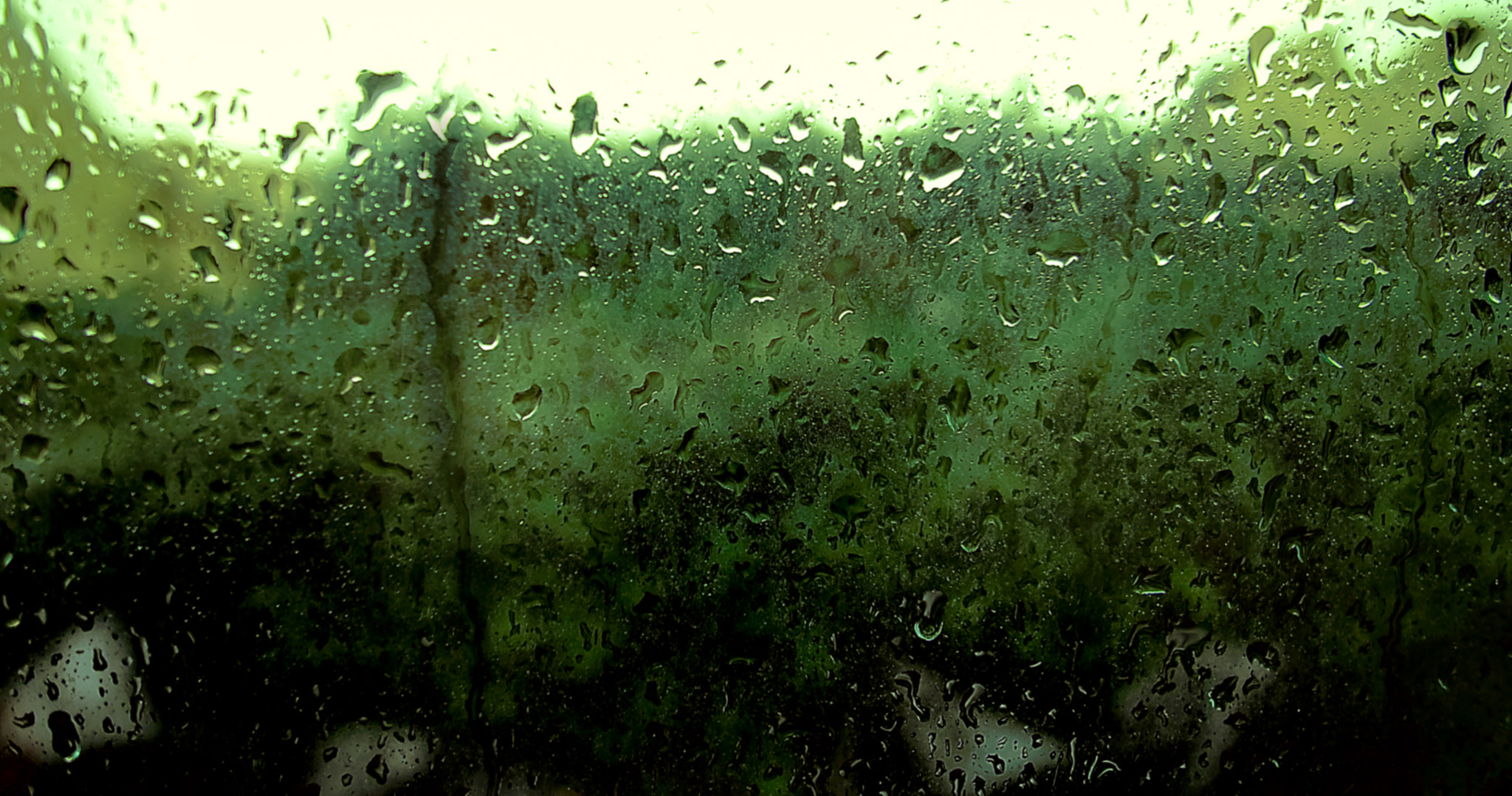 Fujifilm X-T1 + 12,0 mm sample photo. It's a rainy day photography