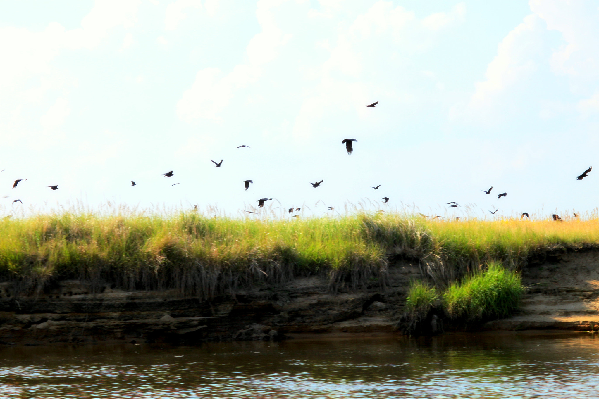 Canon EF 28-90mm f/4-5.6 sample photo. River photography