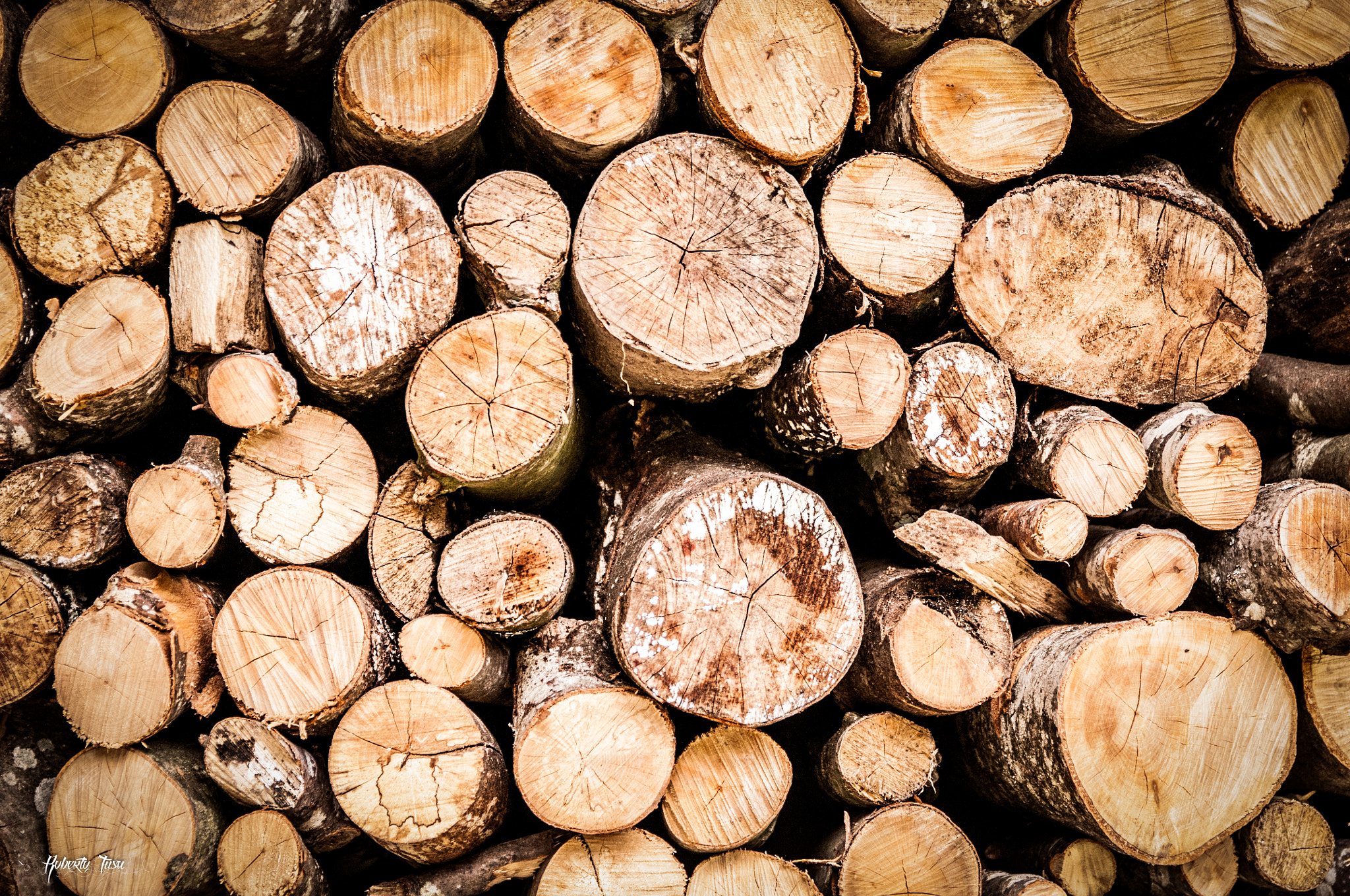 Nikon D300S + Sigma 18-50mm F2.8 EX DC Macro sample photo. Wood [2014] photography