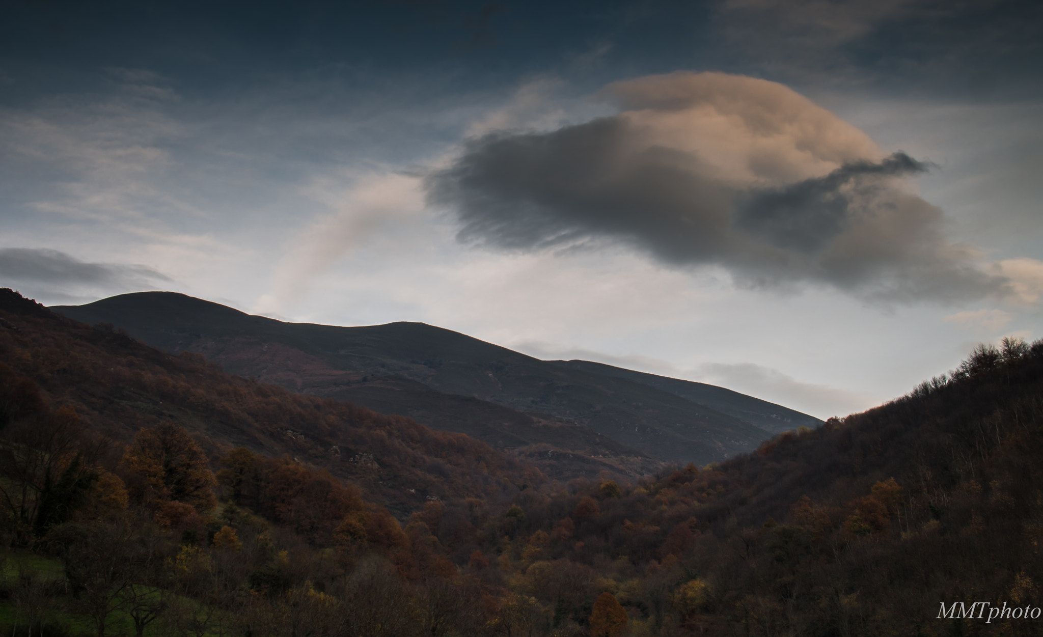 Sigma 18-125mm F3.8-5.6 DC OS HSM sample photo. Into the autumn photography