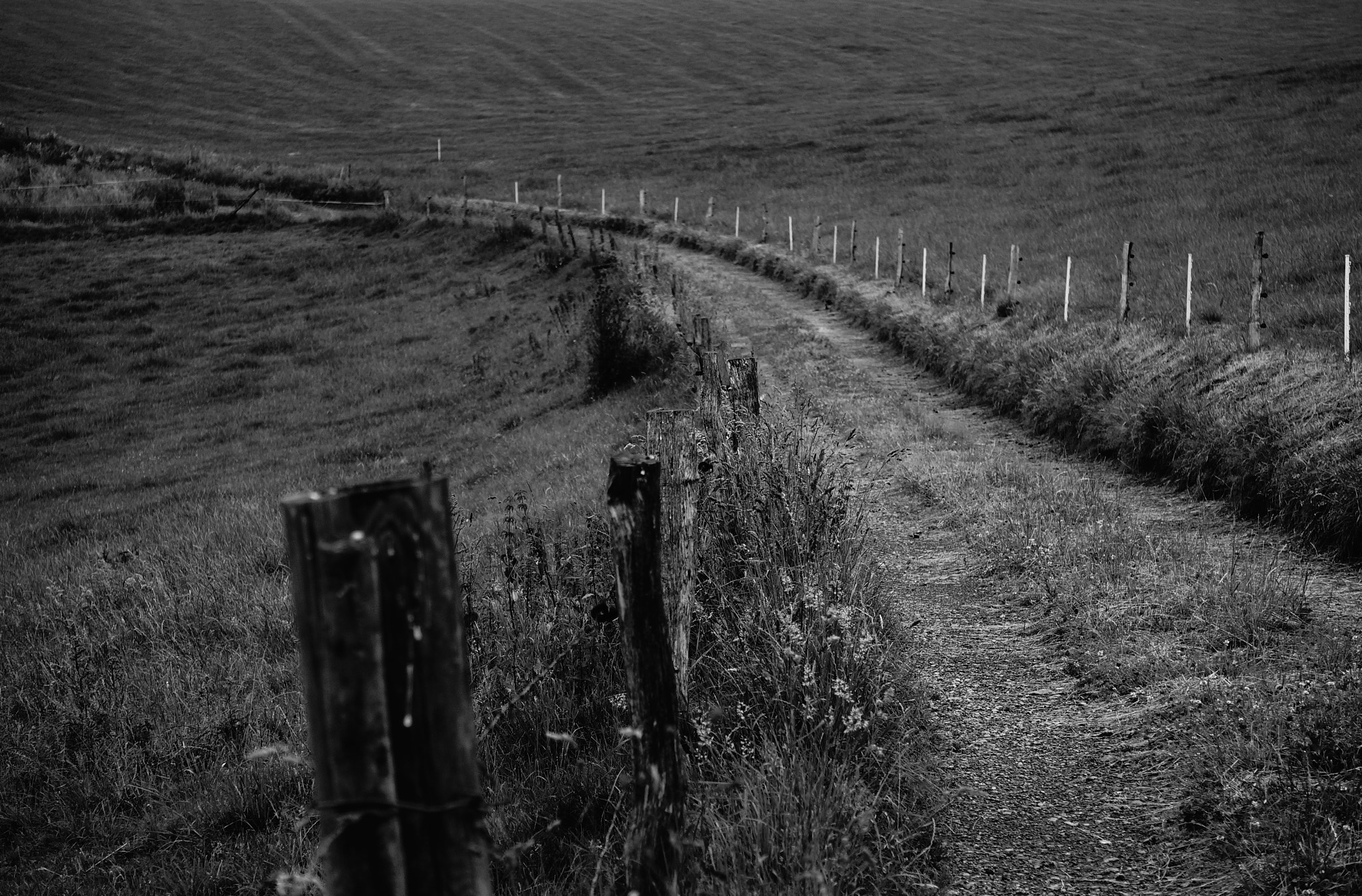 Sony E 55-210mm F4.5-6.3 OSS sample photo. Country path photography