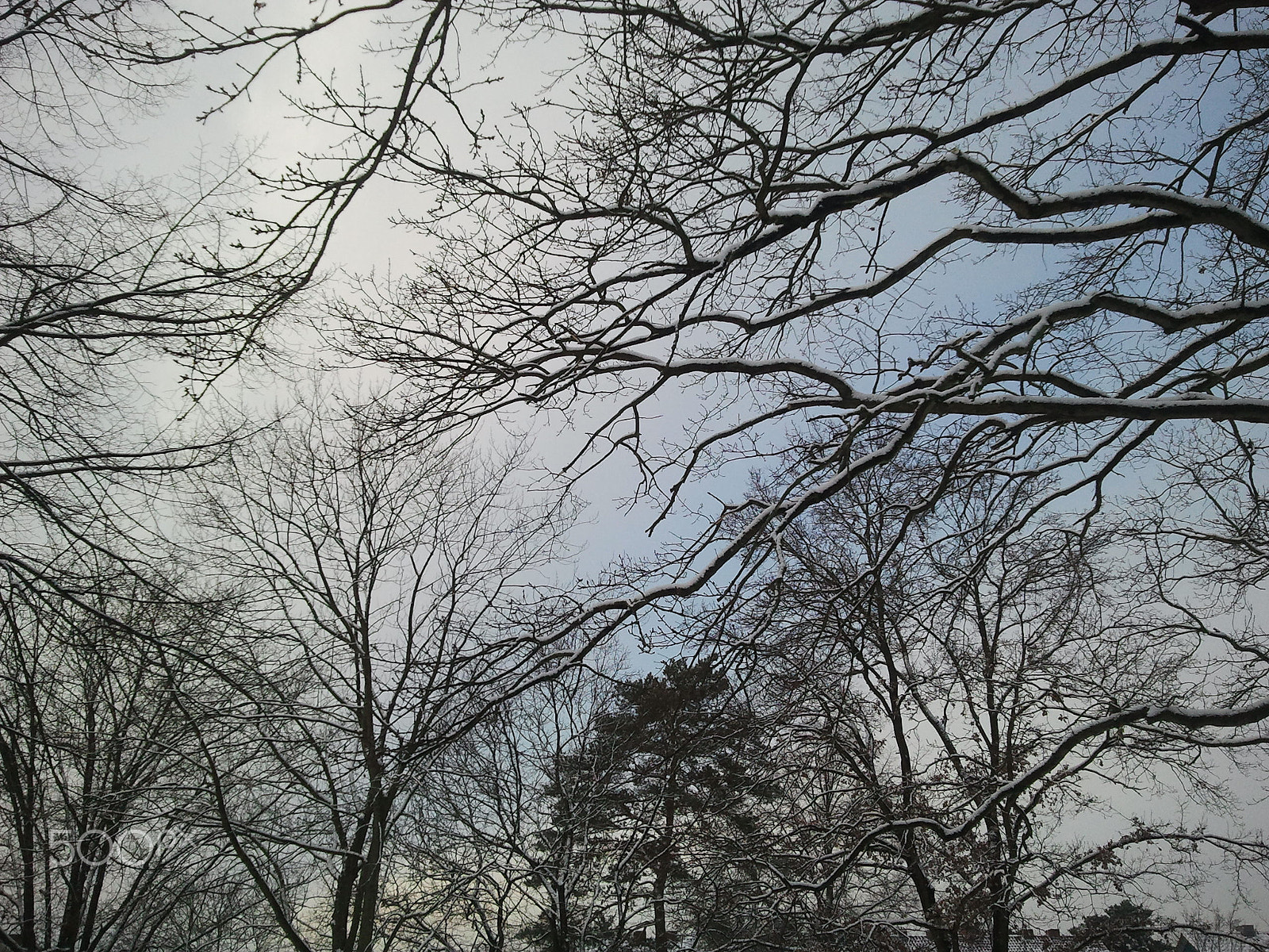 Samsung Galaxy S Plus sample photo. Winter sky photography