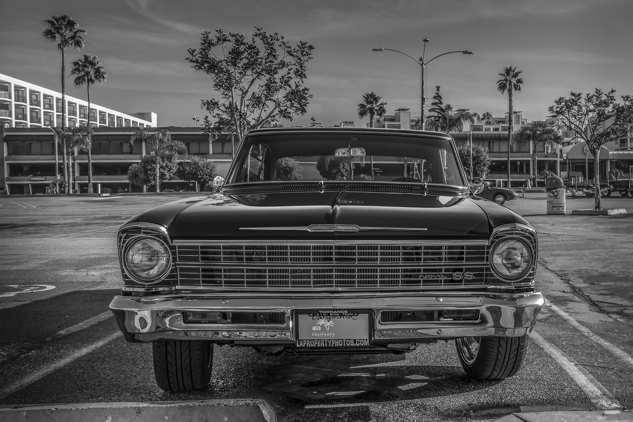 Sigma 10-20mm F3.5 EX DC HSM sample photo. Nova ss black and white photography