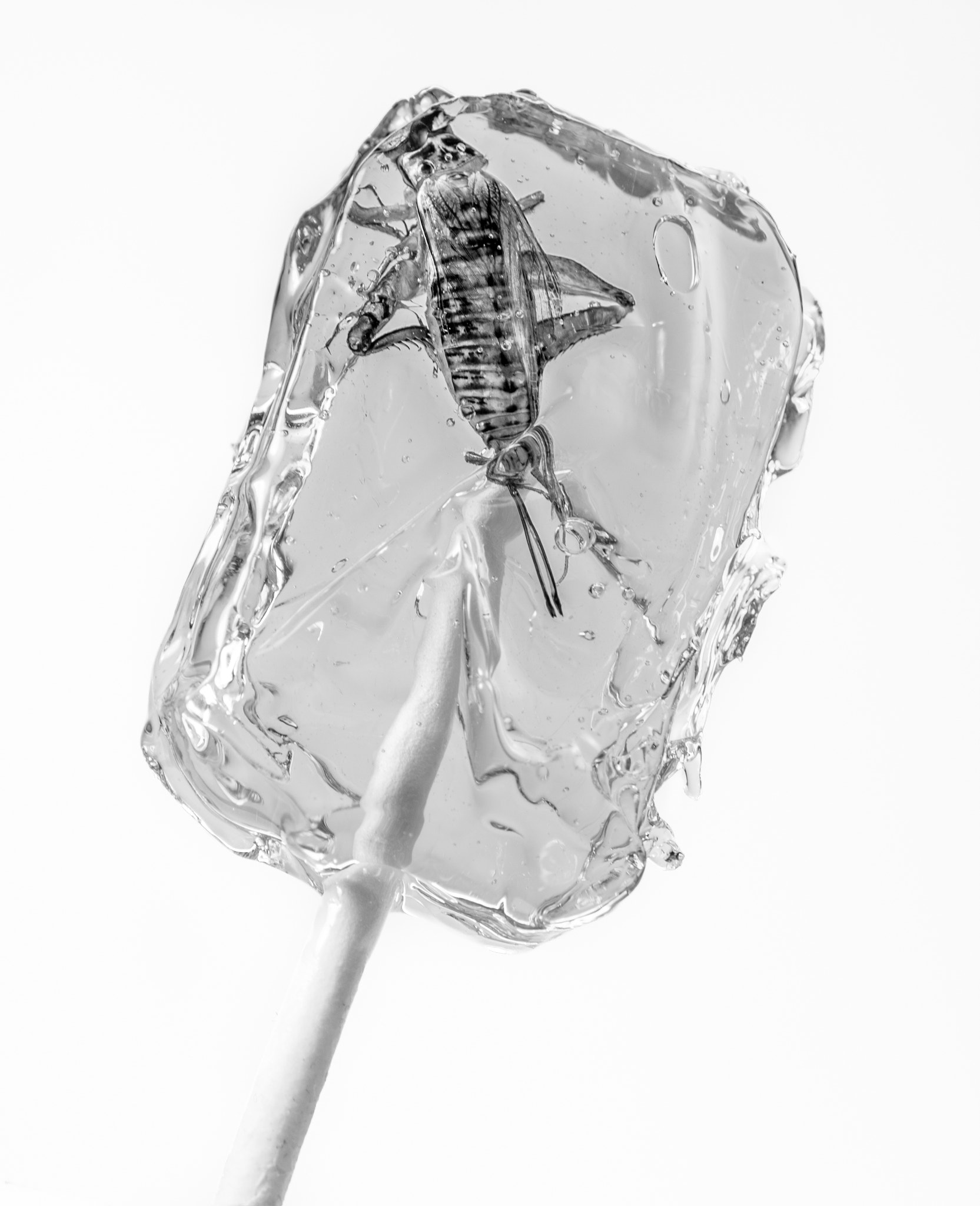 Sigma 17-70mm F2.8-4 DC Macro OS HSM sample photo. Scary lollipop photography