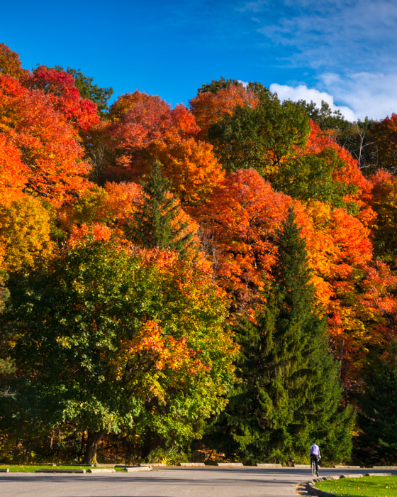 Panasonic Lumix DMC-GX7 + OLYMPUS DIGITAL 14-54mm Lens sample photo. Fall colors photography