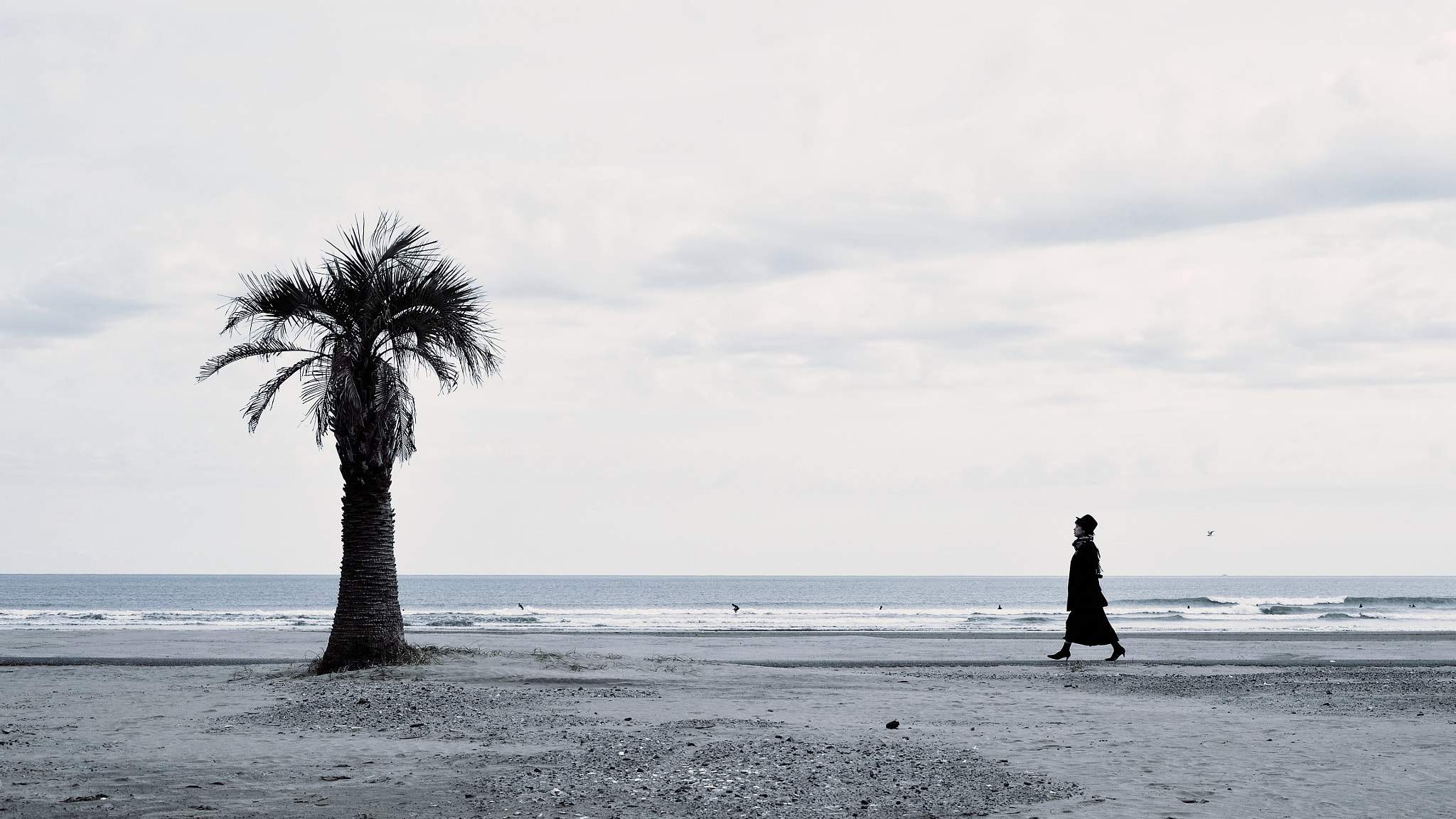 ZEISS Makro-Planar T* 50mm F2 sample photo. Winter coast photography