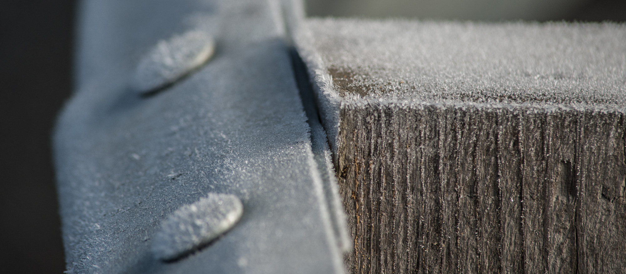 Nikon D700 + AF Nikkor 300mm f/4 IF-ED sample photo. Frosty posts…#1 photography