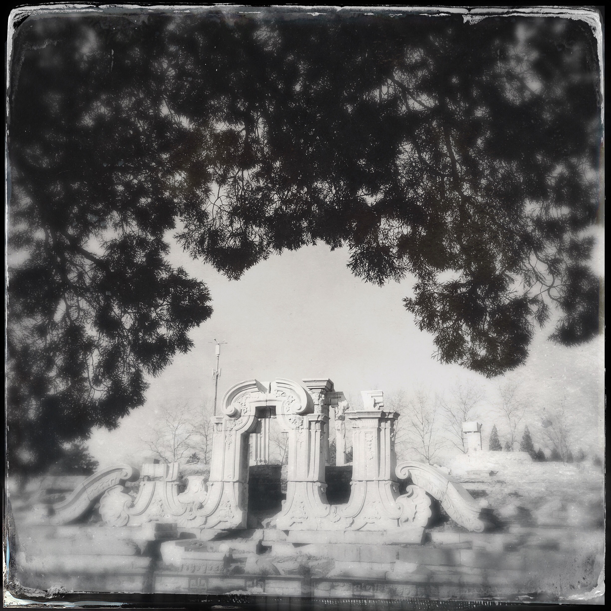 Hipstamatic 304 sample photo