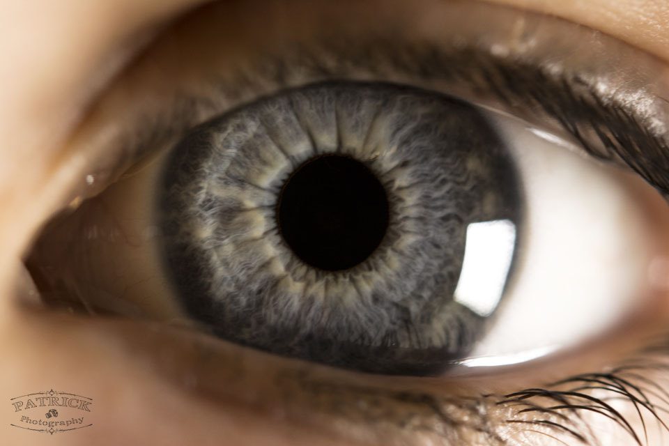 Nikon AF-S Micro-Nikkor 60mm F2.8G ED sample photo. Amazing eye photography