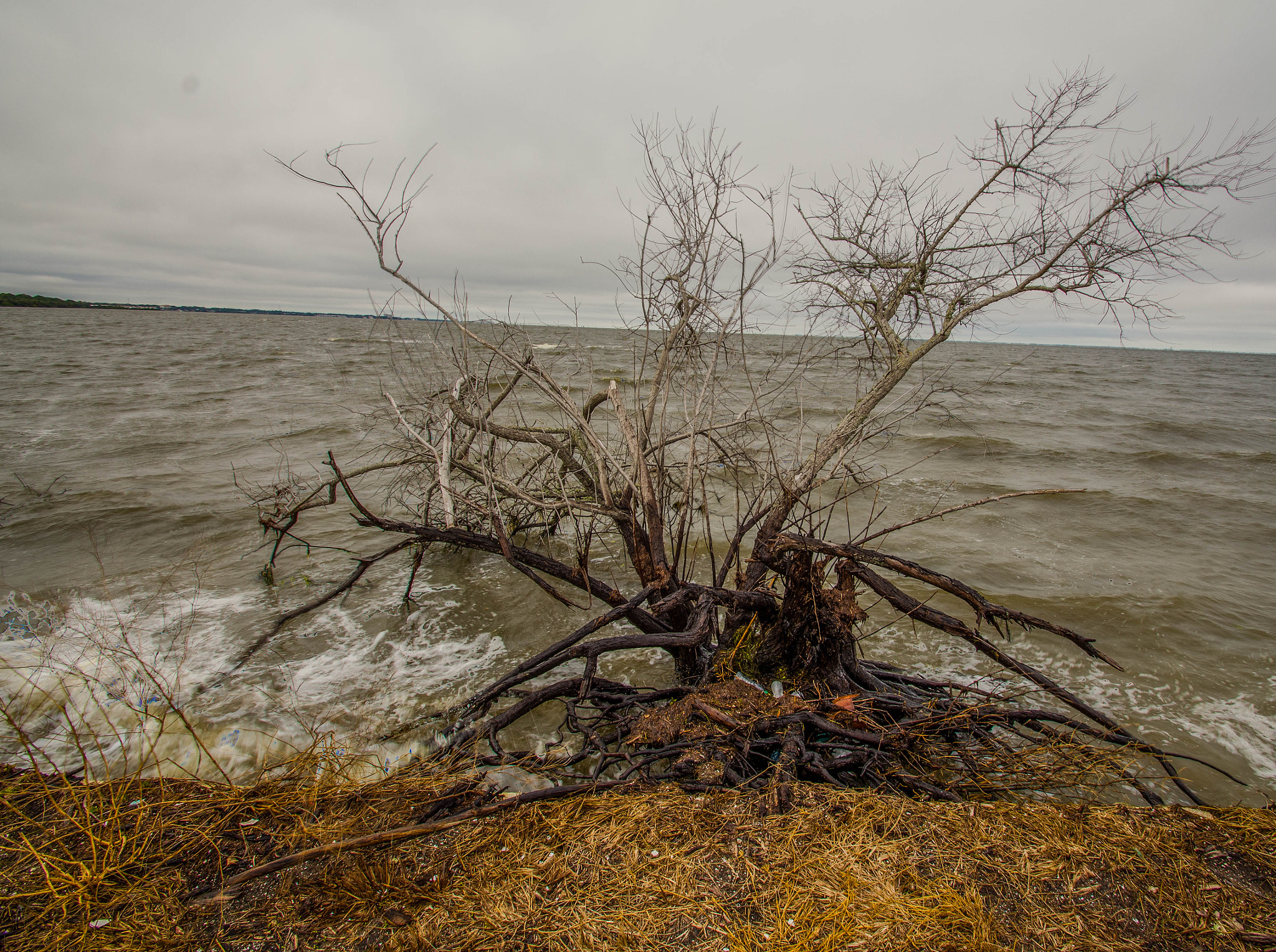 Sigma 10-20mm F3.5 EX DC HSM sample photo. The storm water photography