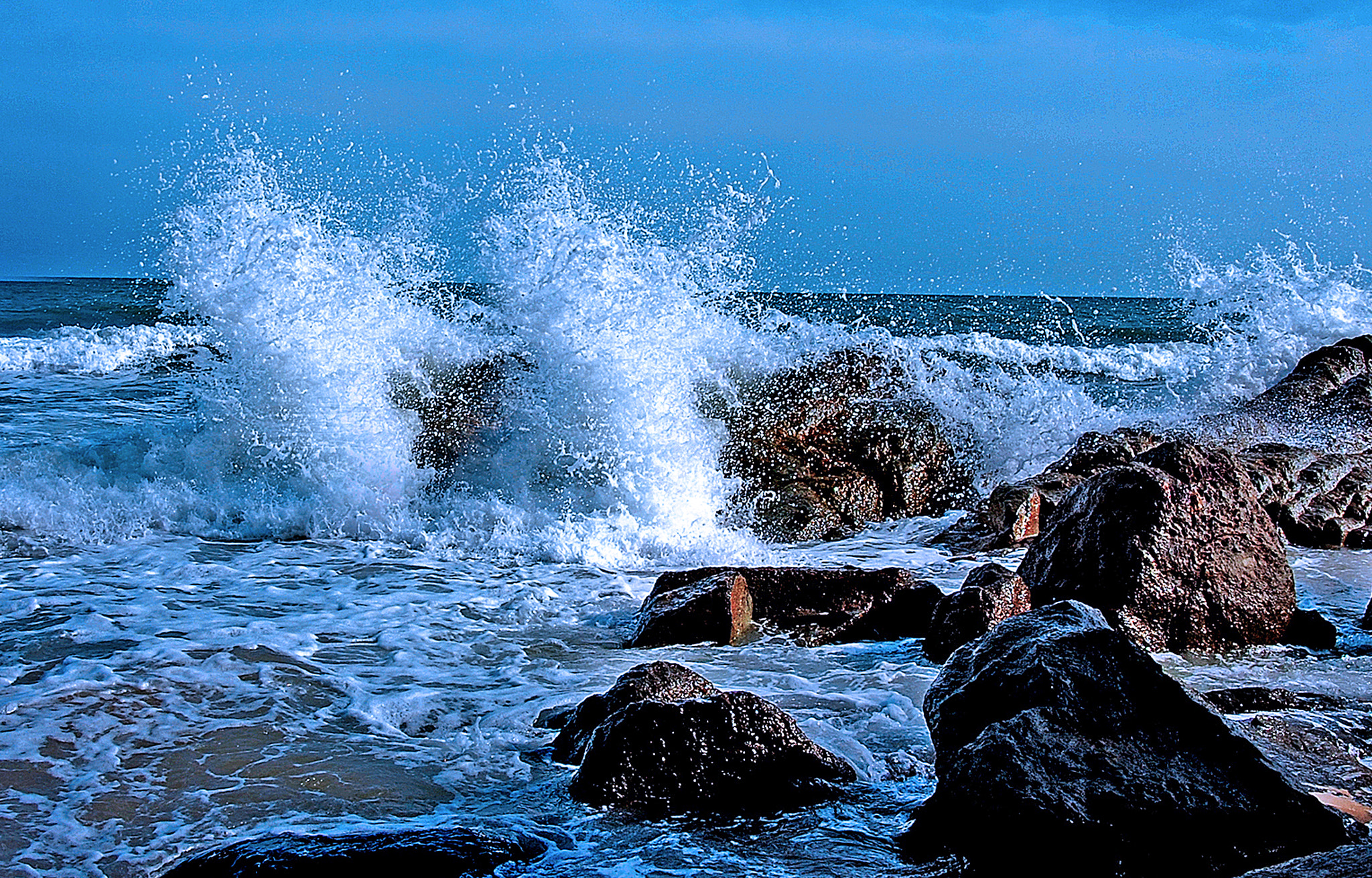 Nikon D2Hs sample photo. Bien hat photography