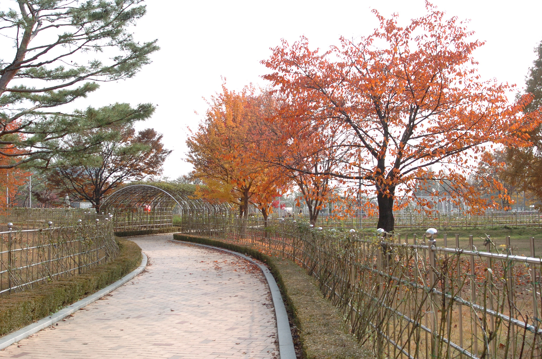 Nikon D2H sample photo. Park photography