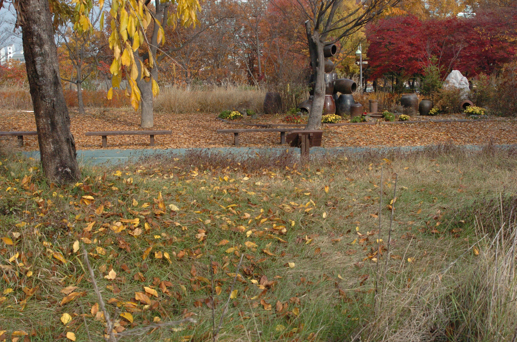 Nikon D2H sample photo. Park photography