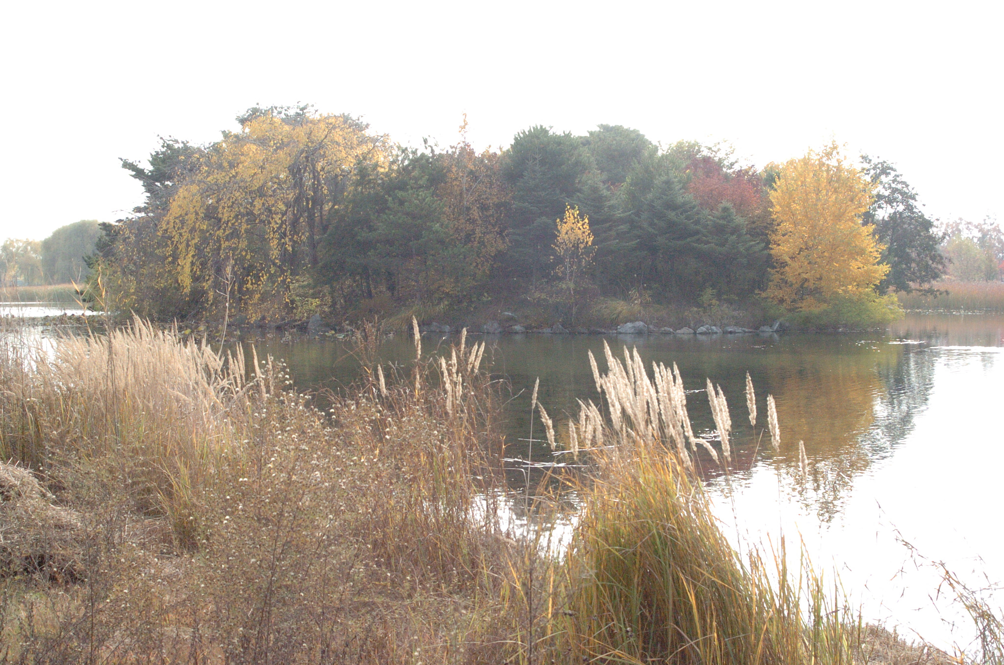 Nikon D2H sample photo. Park photography