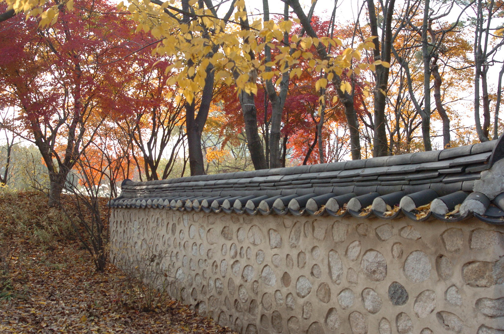 Nikon D2H sample photo. Park photography