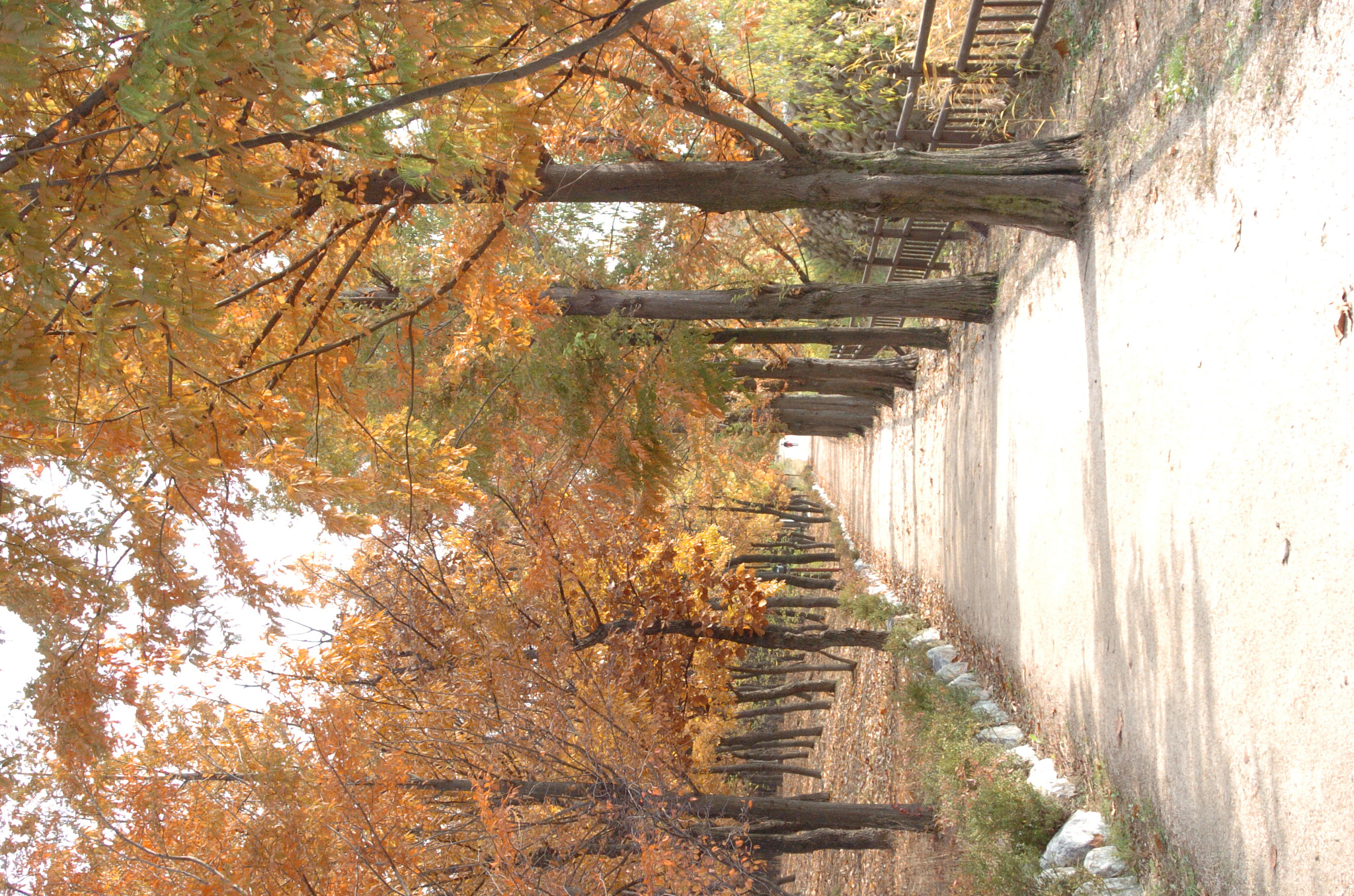 Nikon D2H sample photo. Park photography