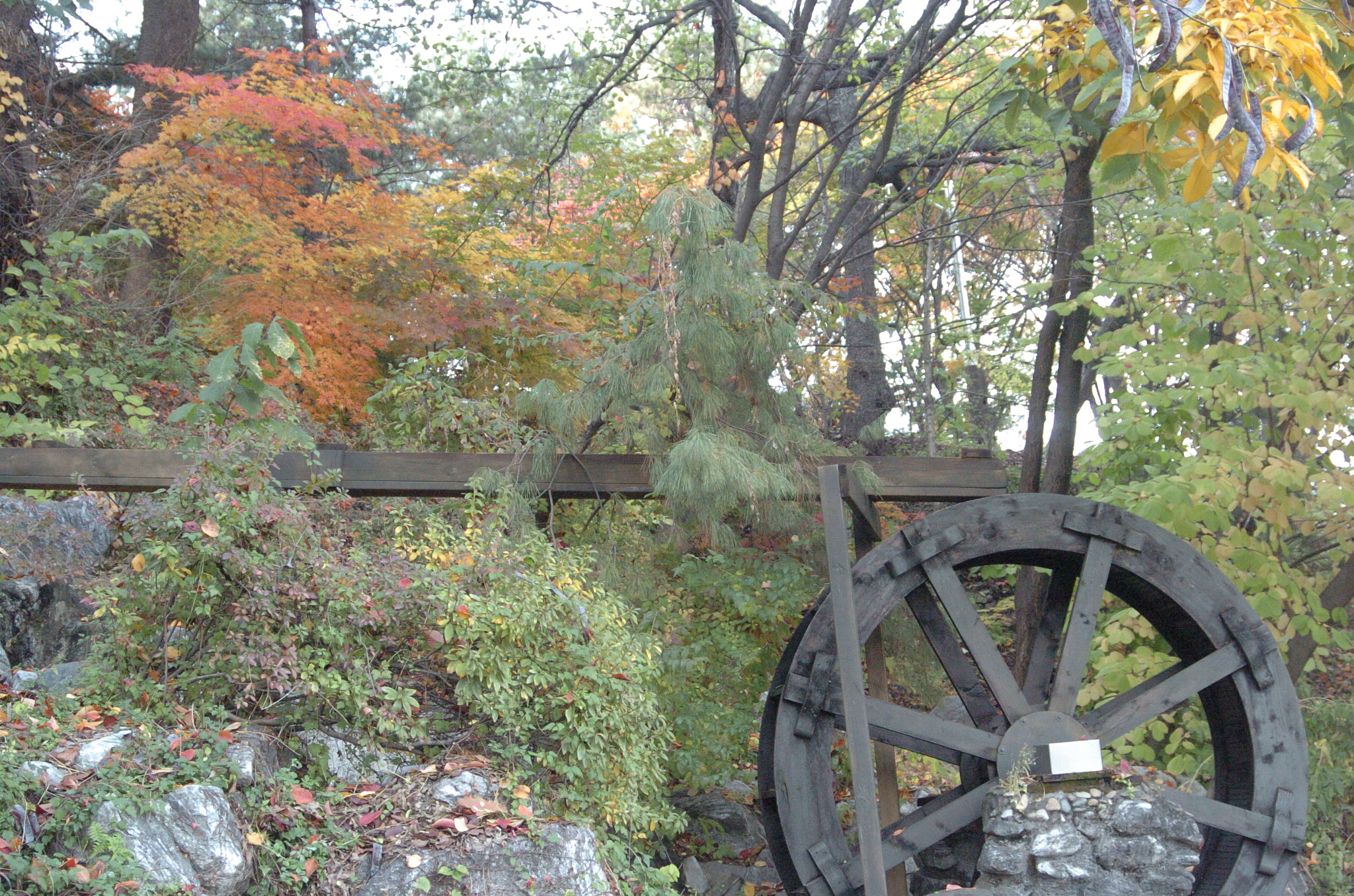 Nikon D2H sample photo. Park photography