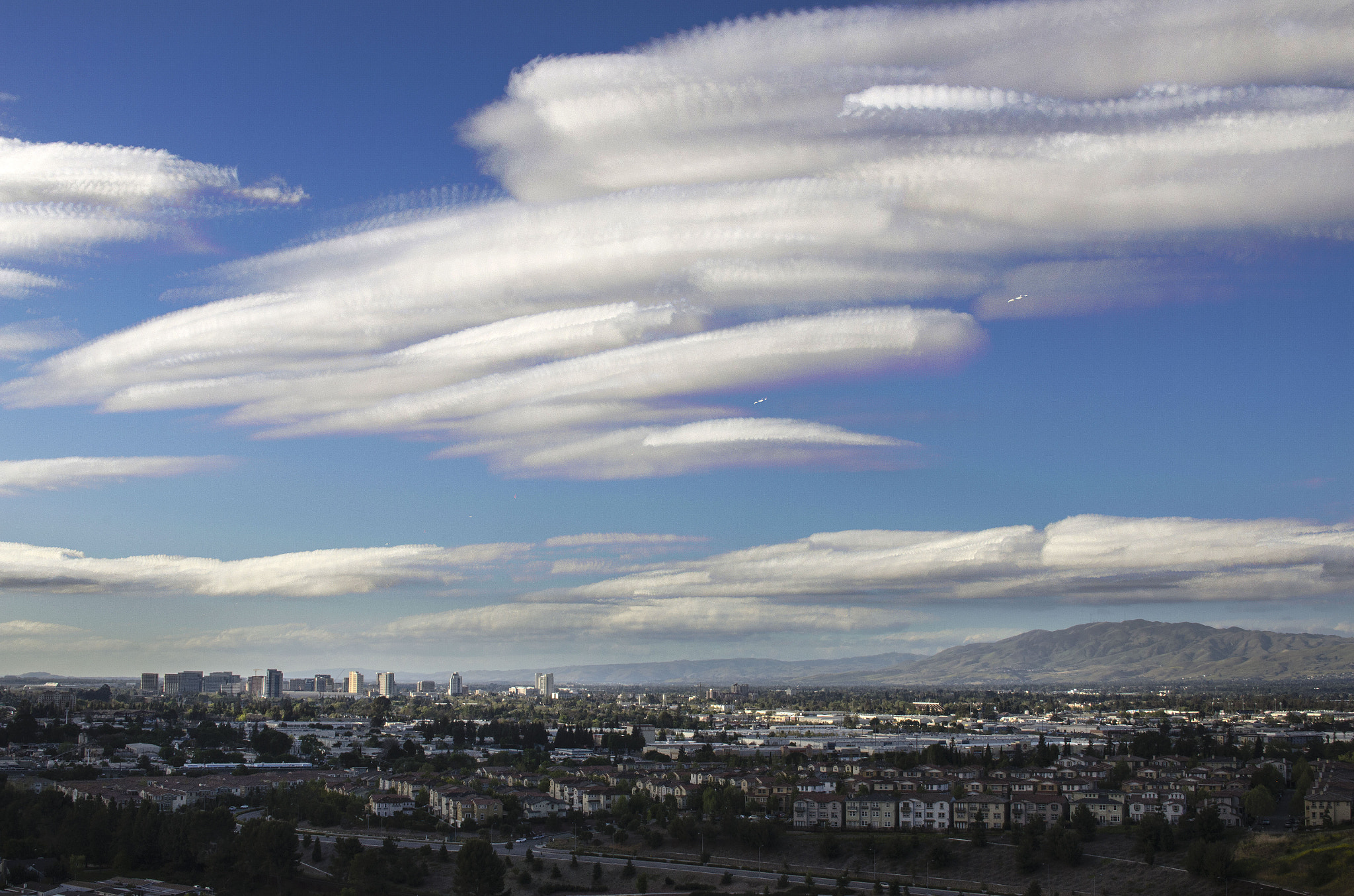 Nikon D5100 + Sigma 30mm F1.4 EX DC HSM sample photo. San jose photography