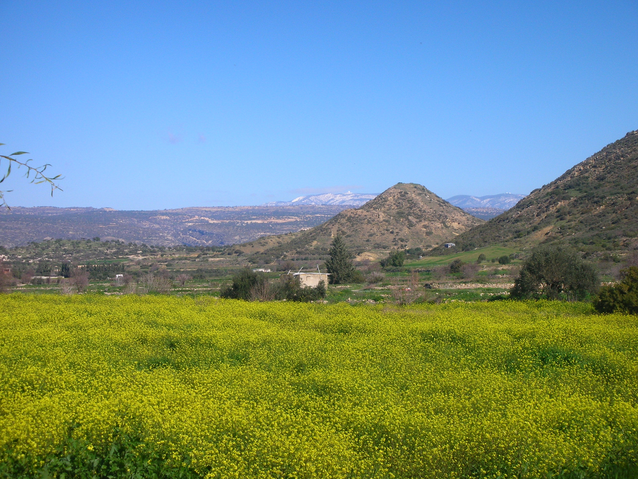 Nikon S1 sample photo. View towards the troodos mountains photography