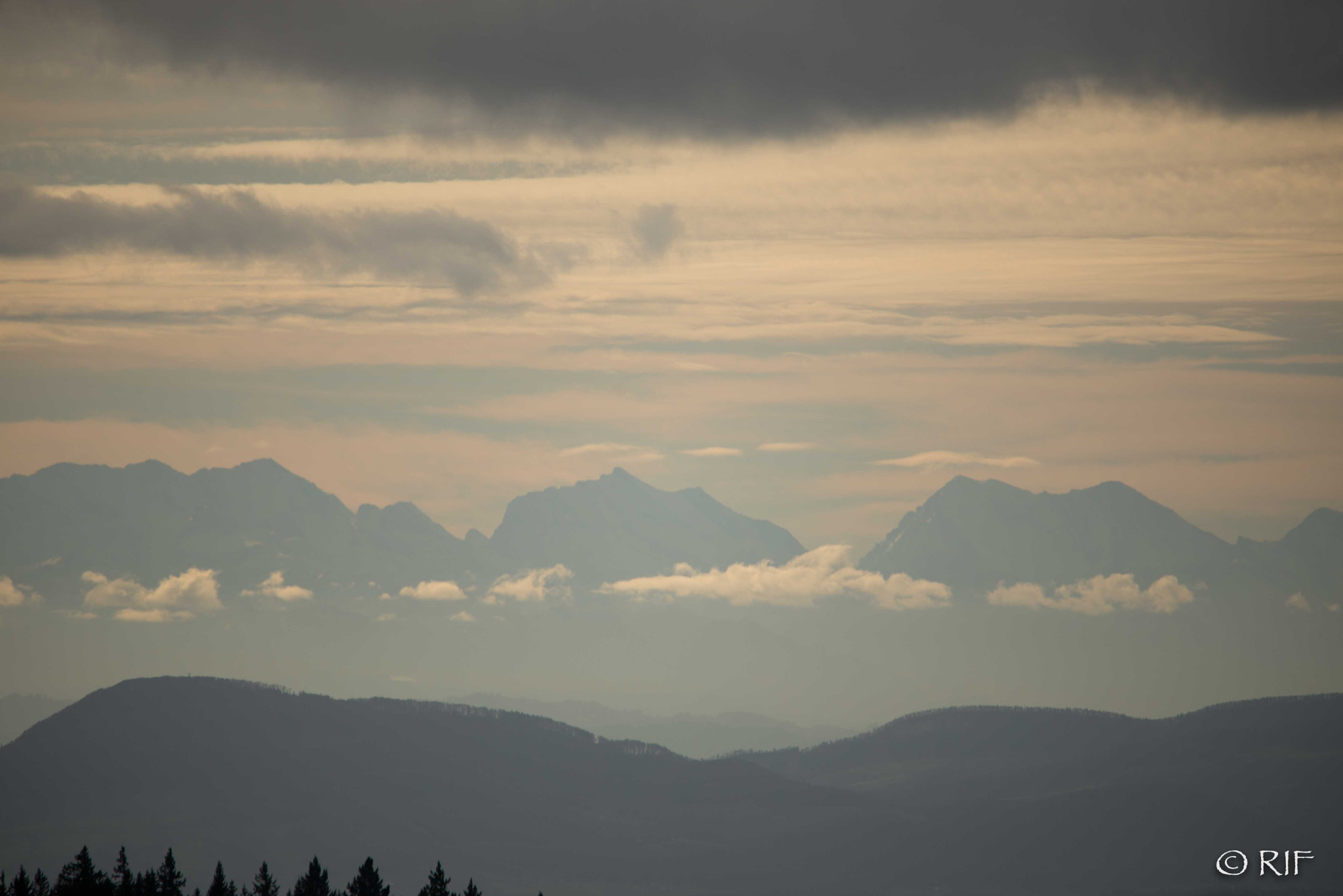 Sigma 150-500mm F5-6.3 DG OS HSM sample photo. Gersbach dunst photography