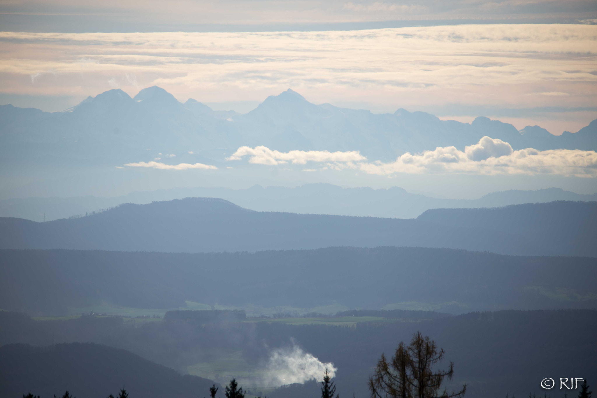 Sigma 150-500mm F5-6.3 DG OS HSM sample photo. Gersbach rauch photography