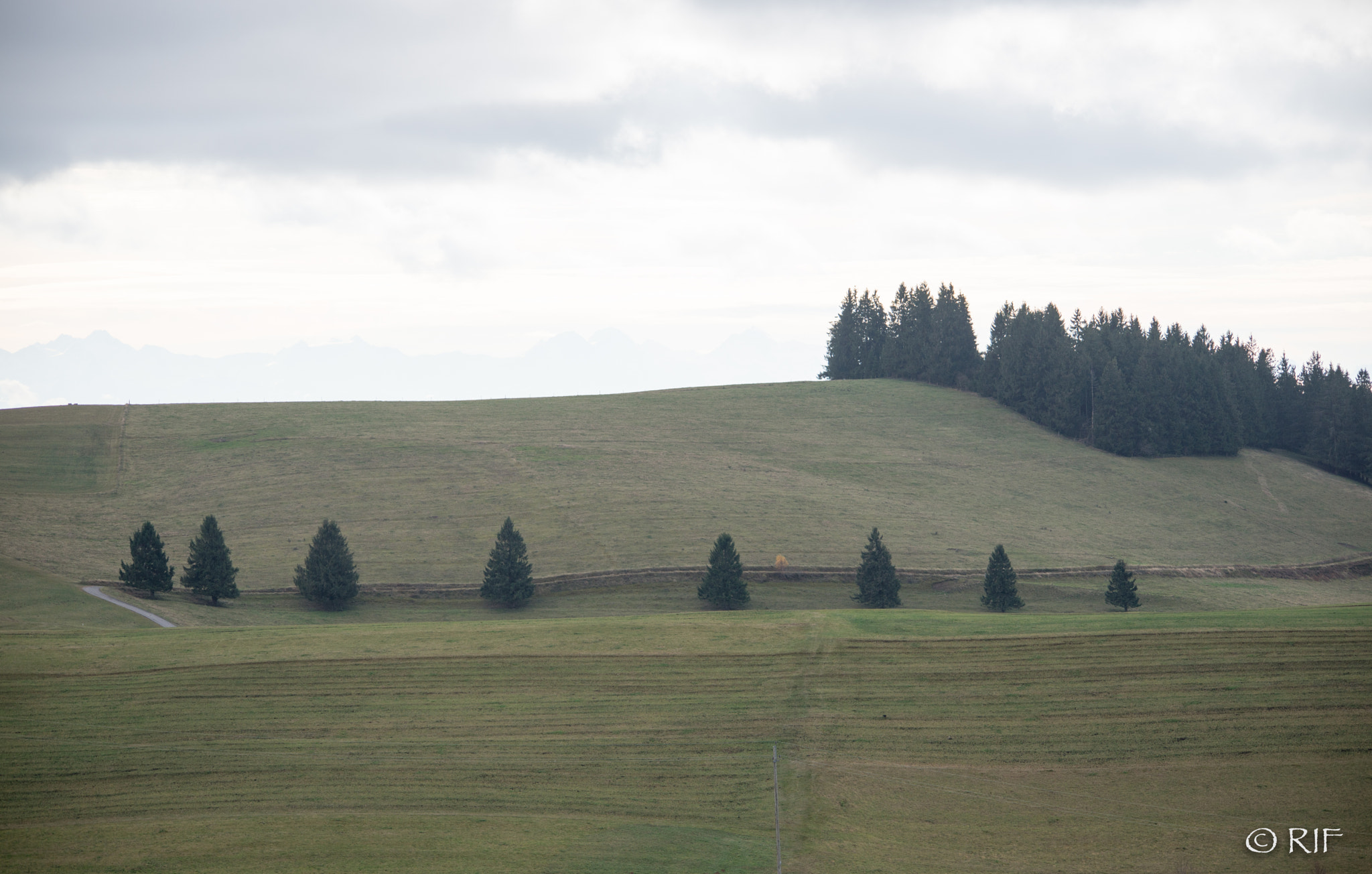 Sigma 150-500mm F5-6.3 DG OS HSM sample photo. __gersbach tannen__ photography